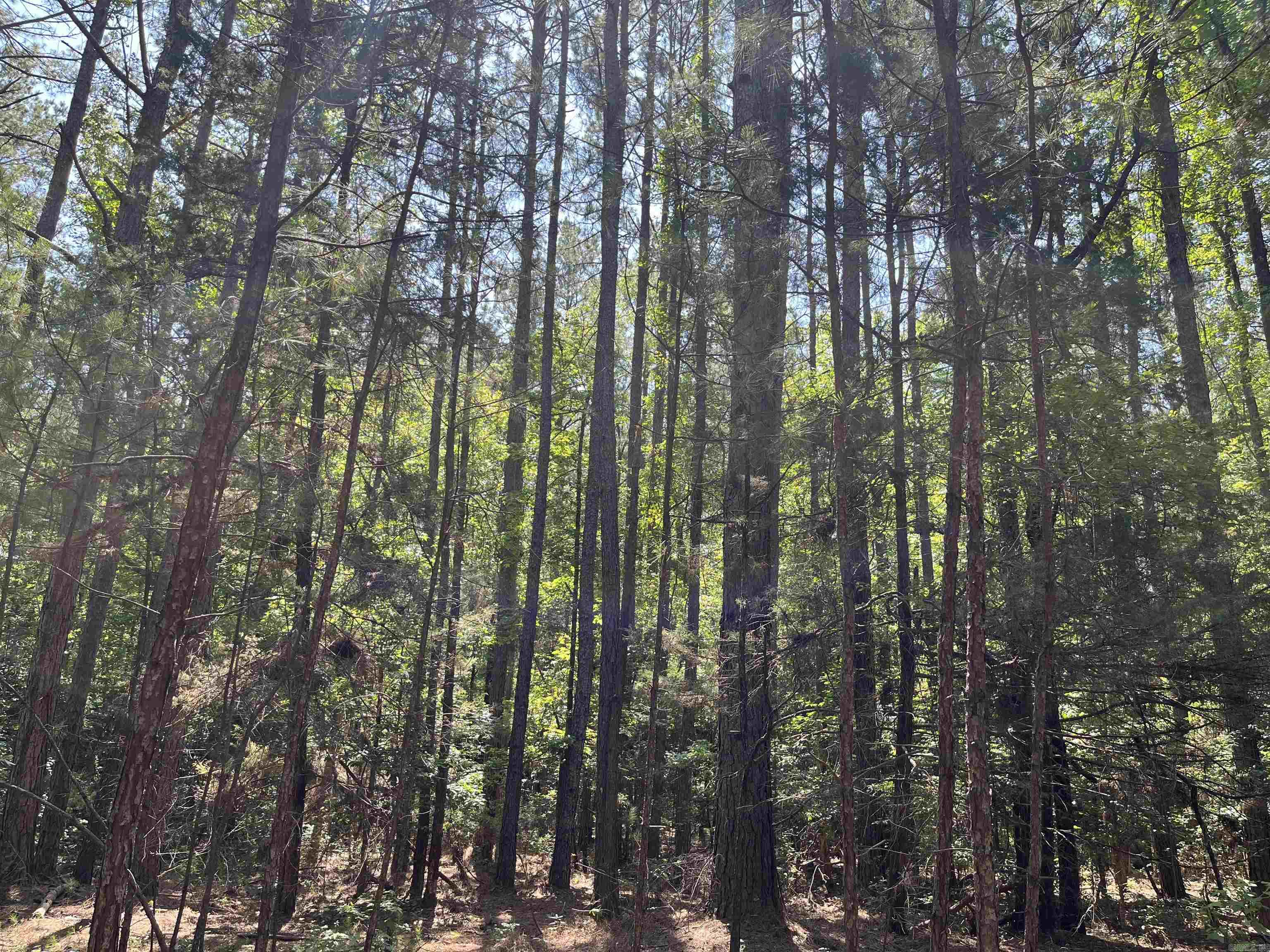 8-15-17  Ouachita CR 47  Camden, AR
