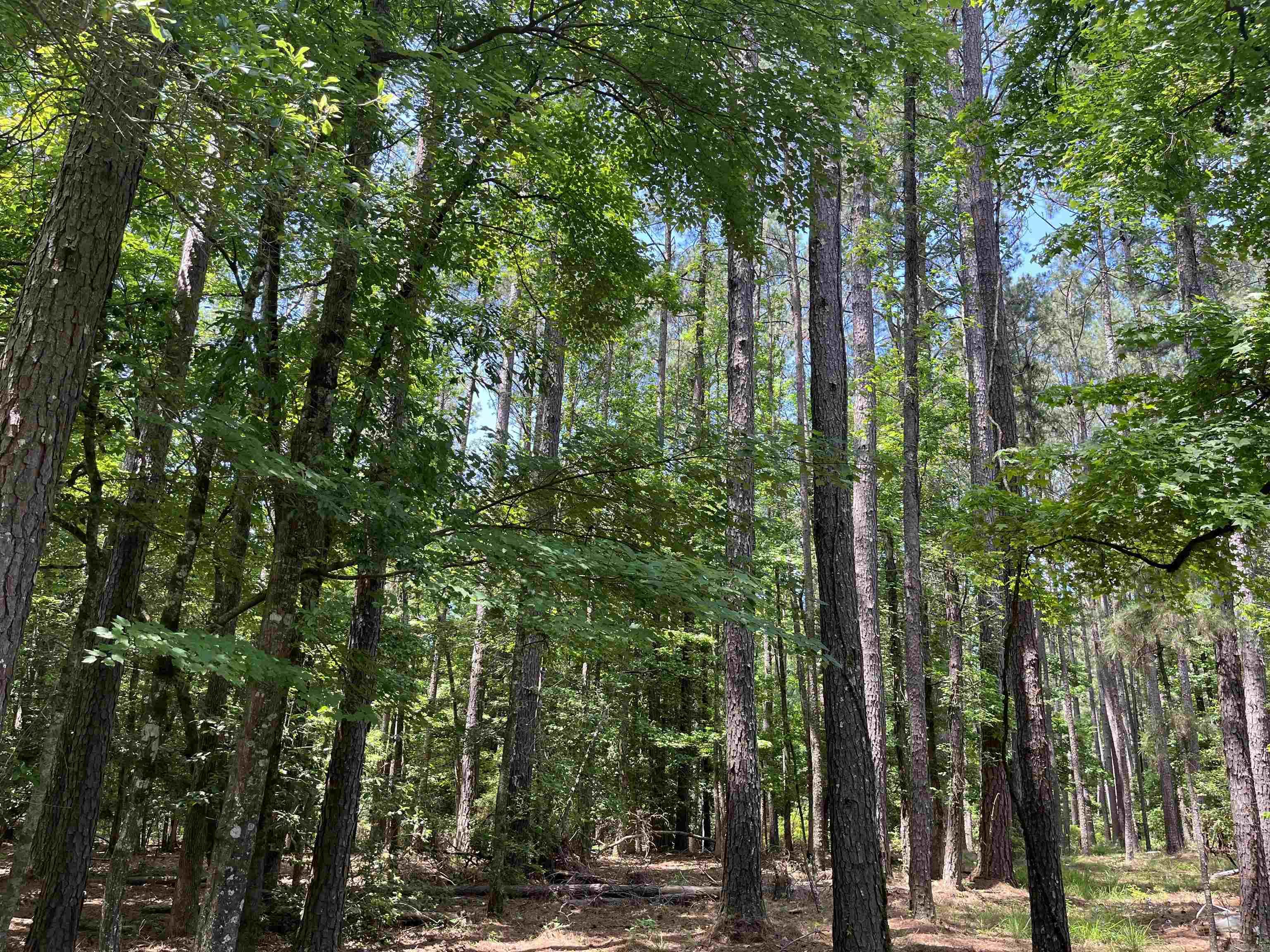 8-15-17  Ouachita CR 47  Camden, AR