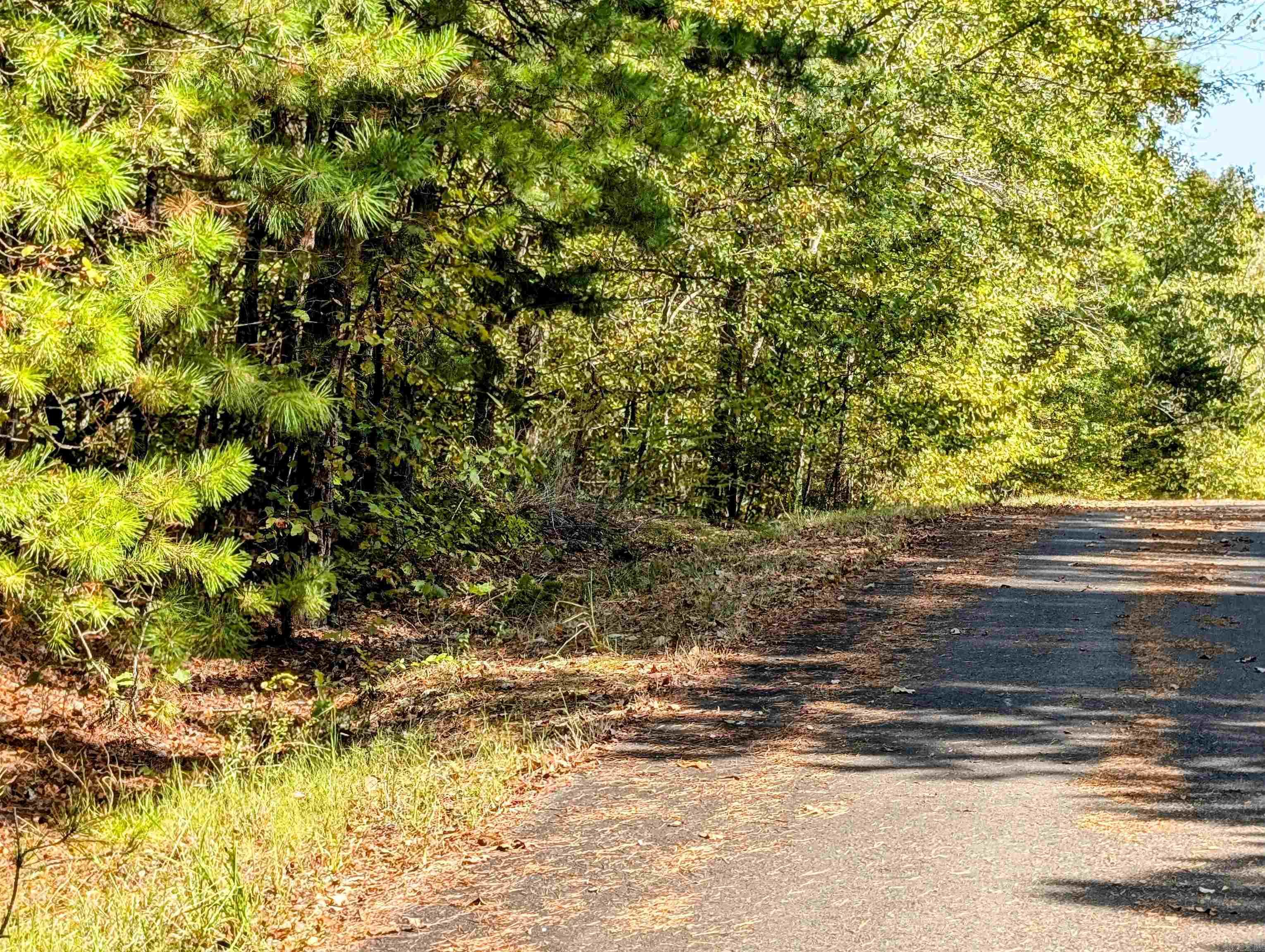 64  Letrista  Hot Springs Village, AR