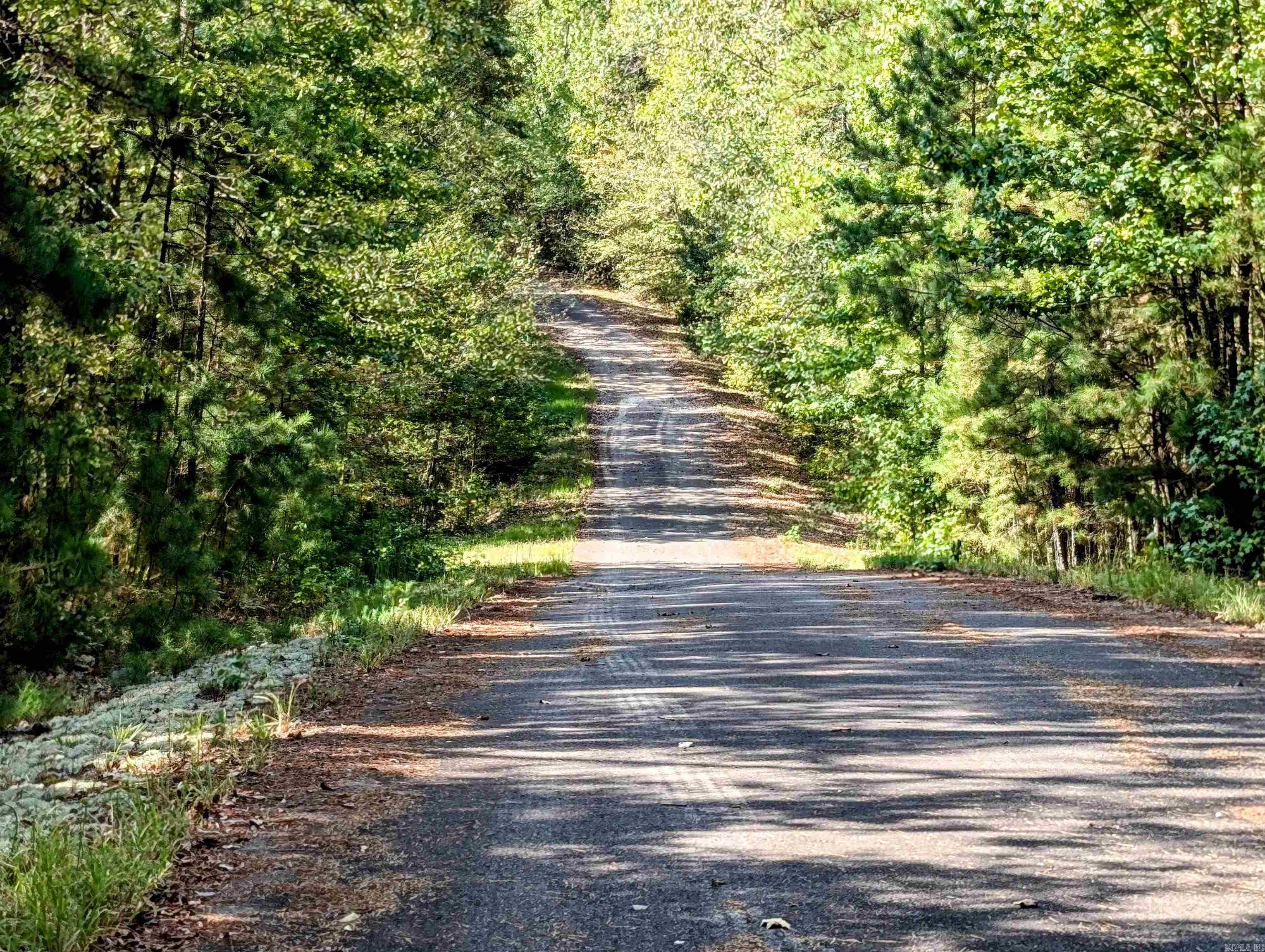 64  Letrista  Hot Springs Village, AR