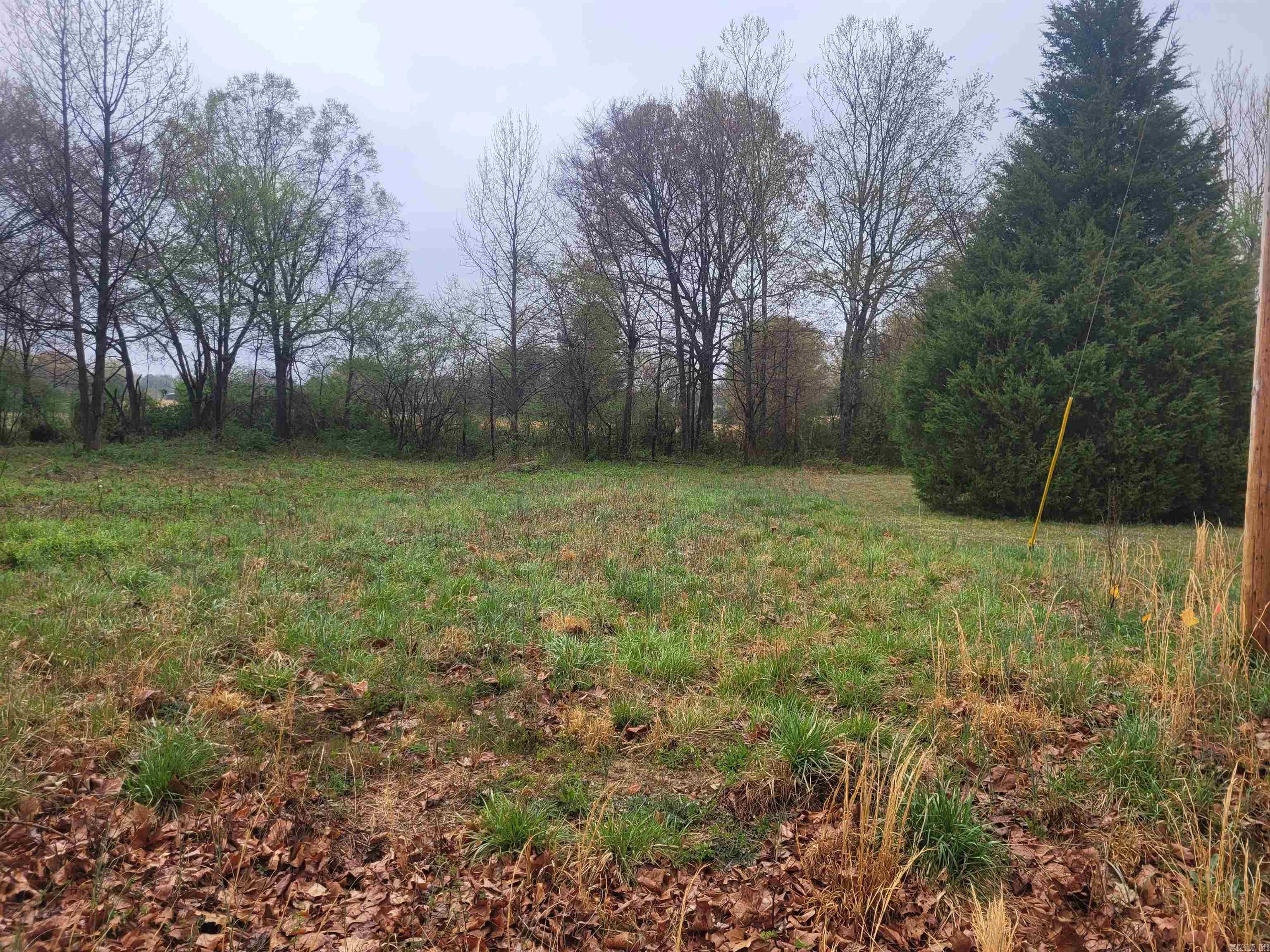 Lot 4  County Road 7922  Brookland, AR