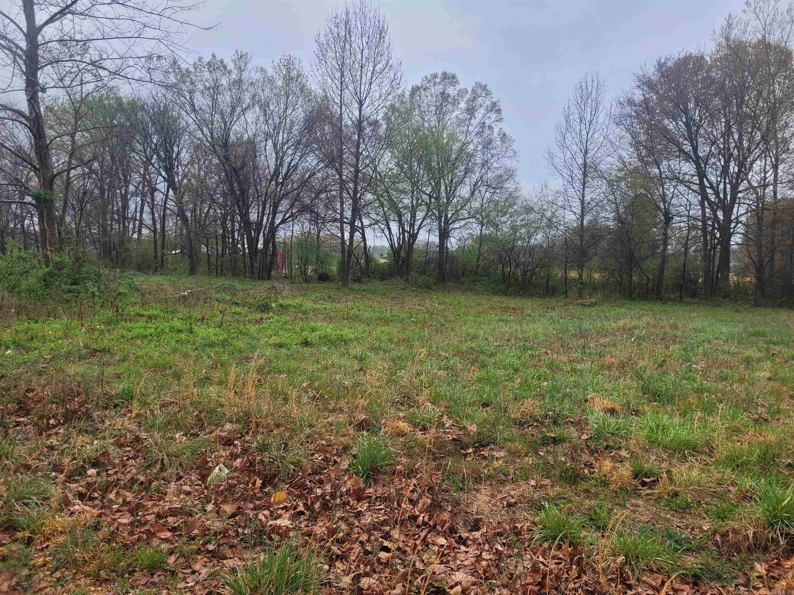 Lot 4  County Road 7922  Brookland, AR