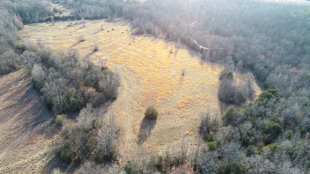 00  Wildcat Hollow  Greenbrier, AR