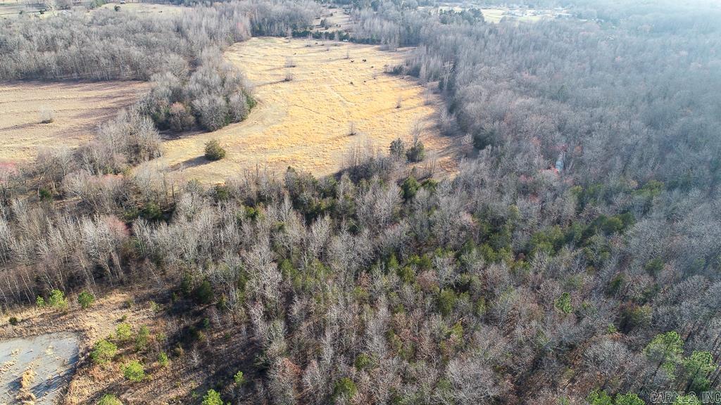 00  Wildcat Hollow  Greenbrier, AR