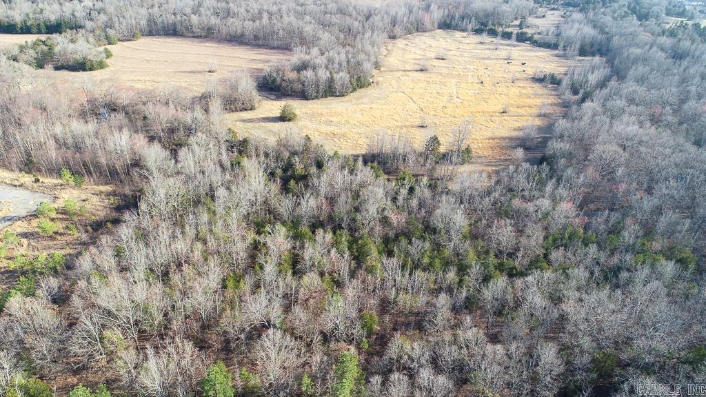 00  Wildcat Hollow  Greenbrier, AR