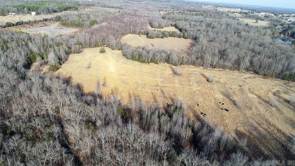 00  Wildcat Hollow  Greenbrier, AR