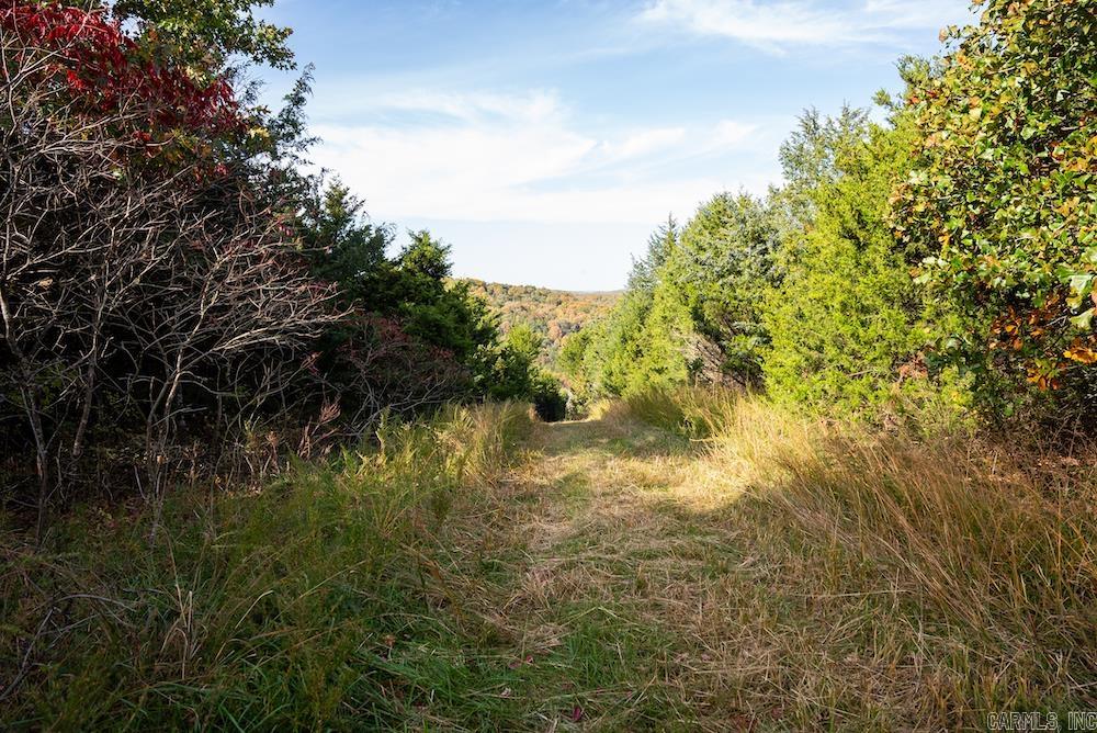 n/a  CR 663  Oak Grove, AR