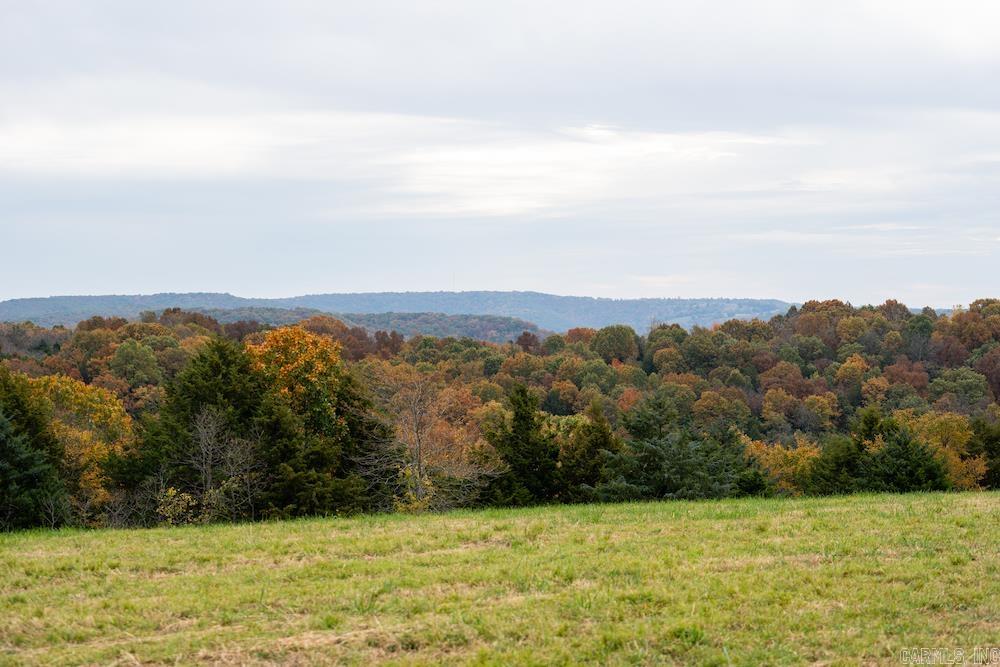 n/a  CR 663  Oak Grove, AR