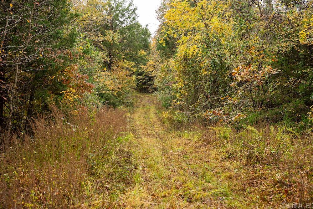 n/a  CR 663  Oak Grove, AR