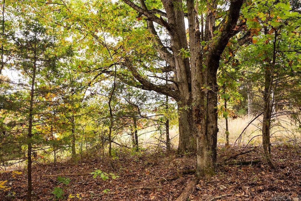 n/a  CR 663  Oak Grove, AR