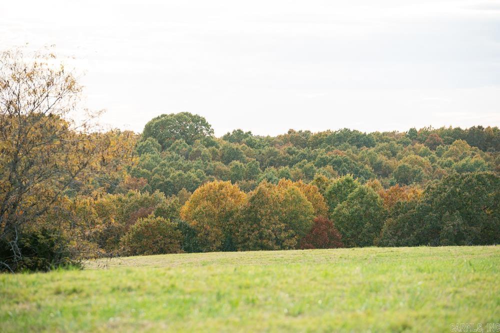   County Road 663  Oak Grove Village, AR