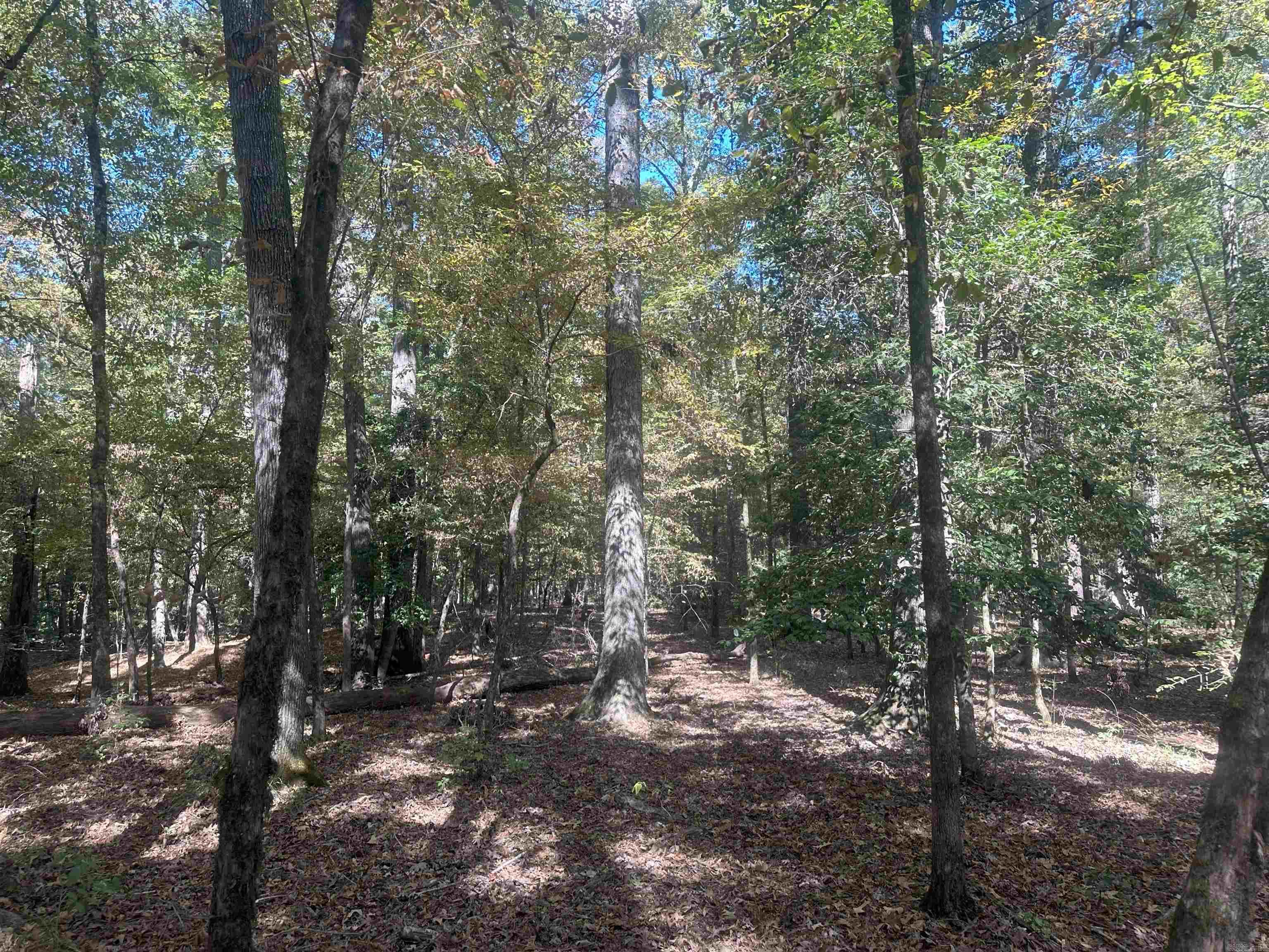 29-9-19  Red Springs Rd  Gurdon, AR