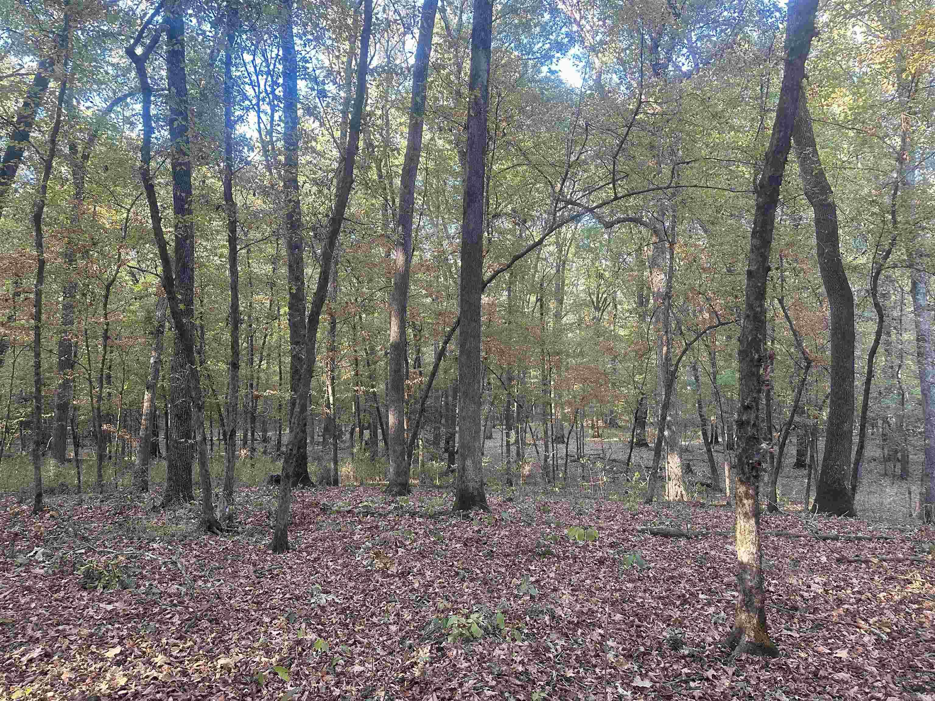 29-9-19  Red Springs Rd  Gurdon, AR