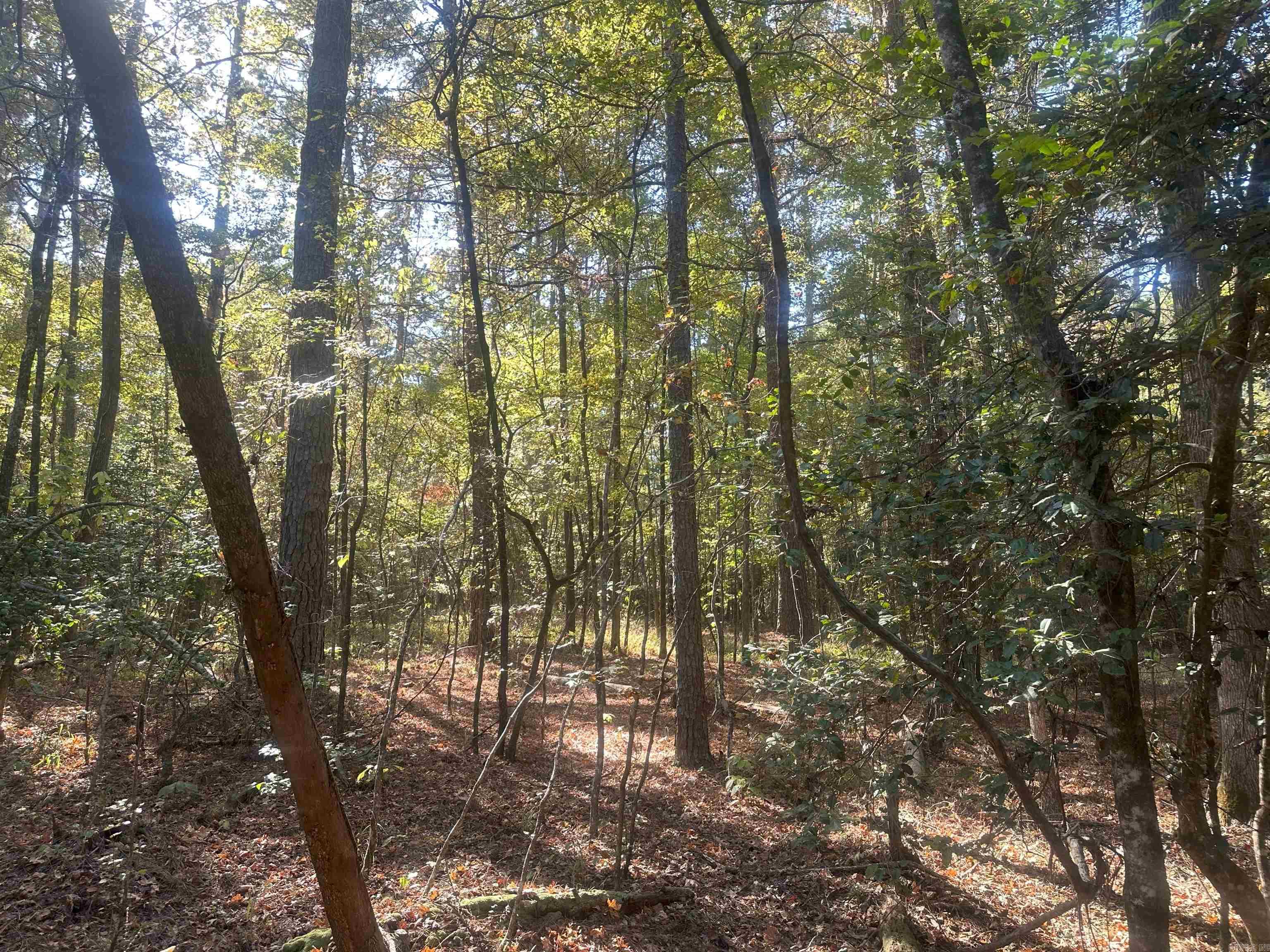 50-9-19  Red Springs Rd  Gurdon, AR