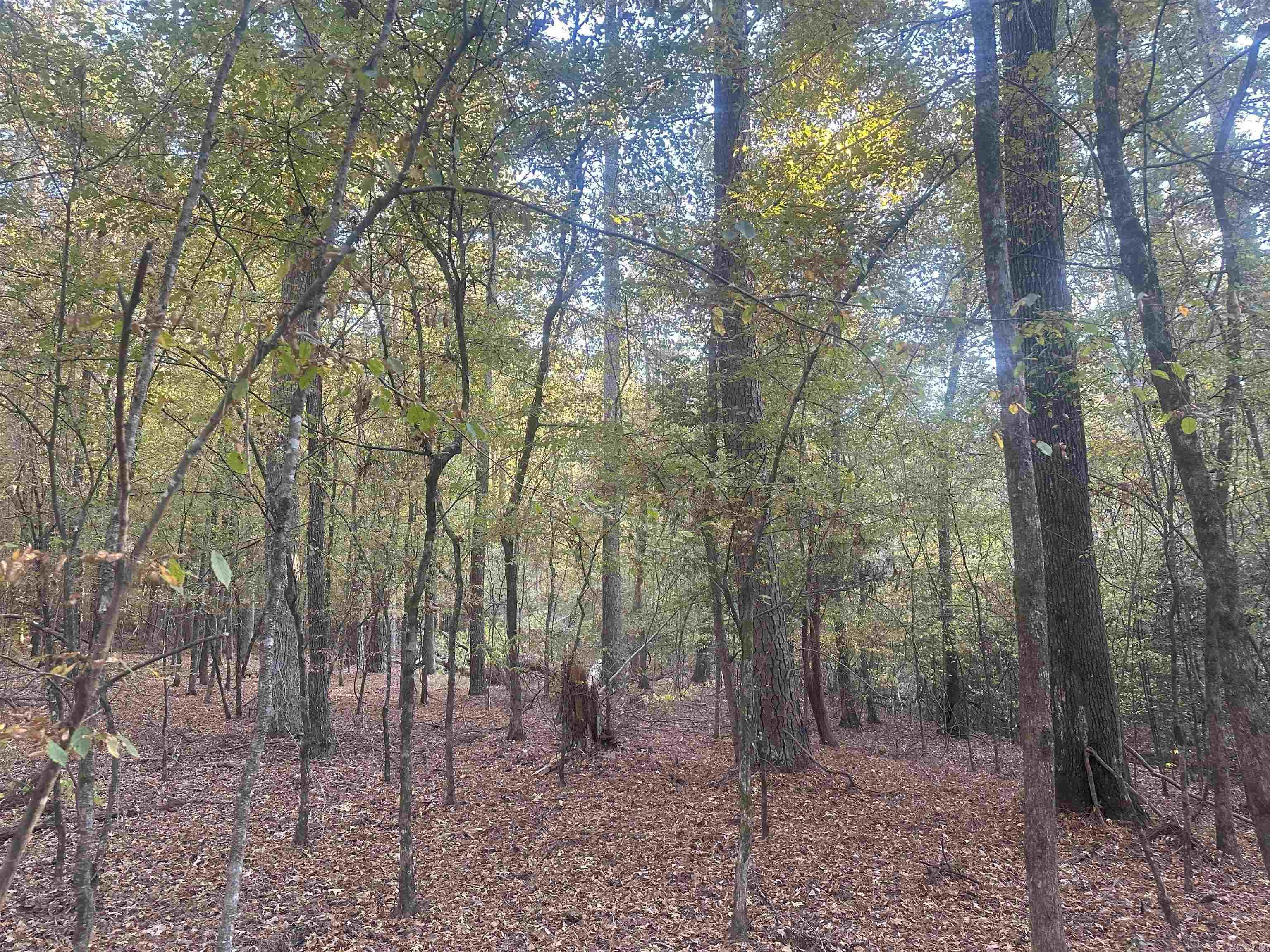 50-9-19  Red Springs Rd  Gurdon, AR