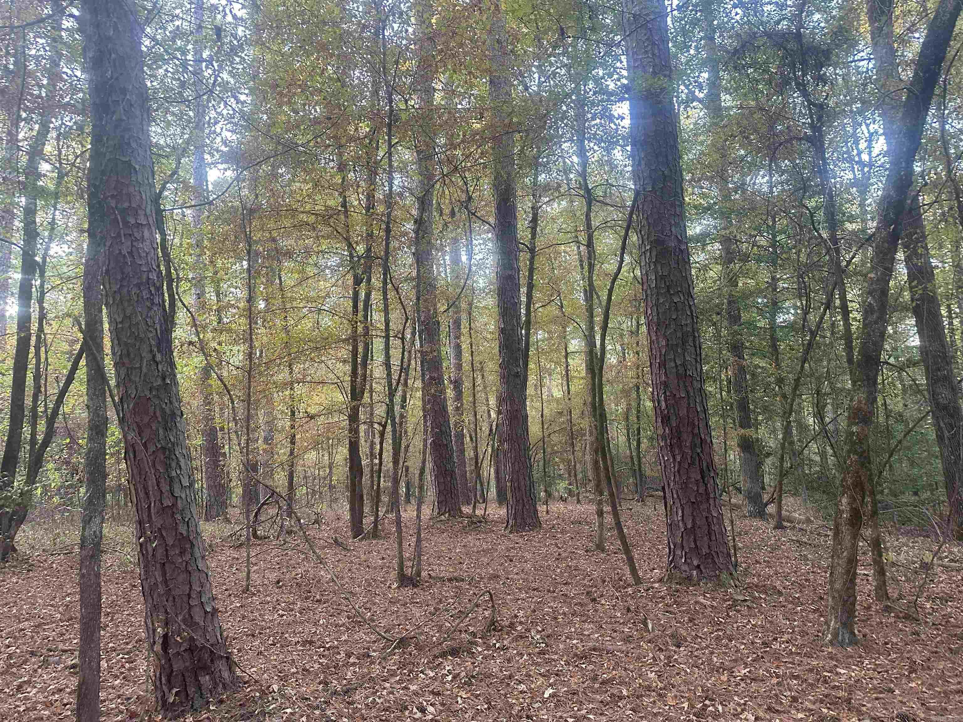 50-9-19  Red Springs Rd  Gurdon, AR