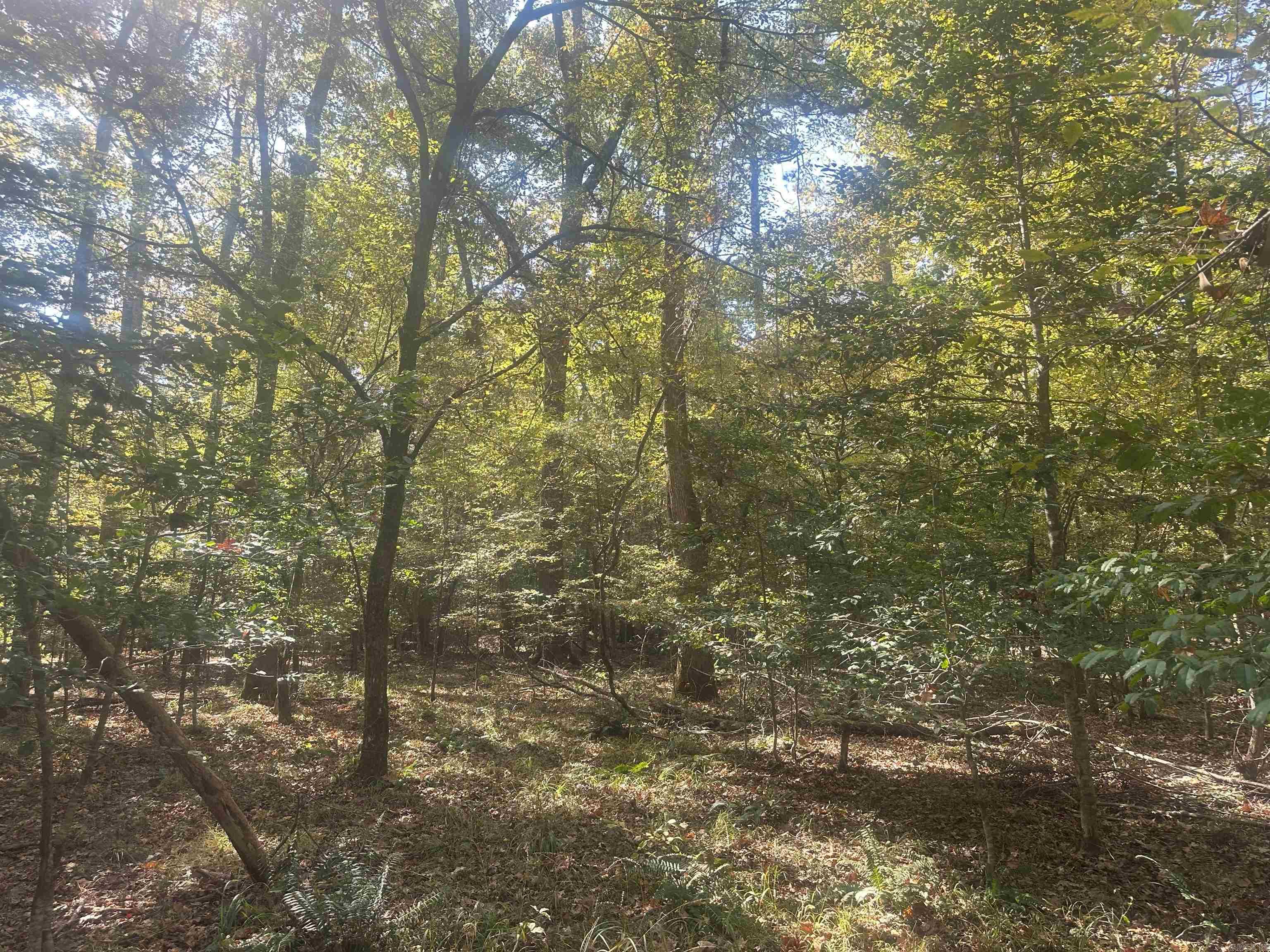 50-9-19  Red Springs Rd  Gurdon, AR