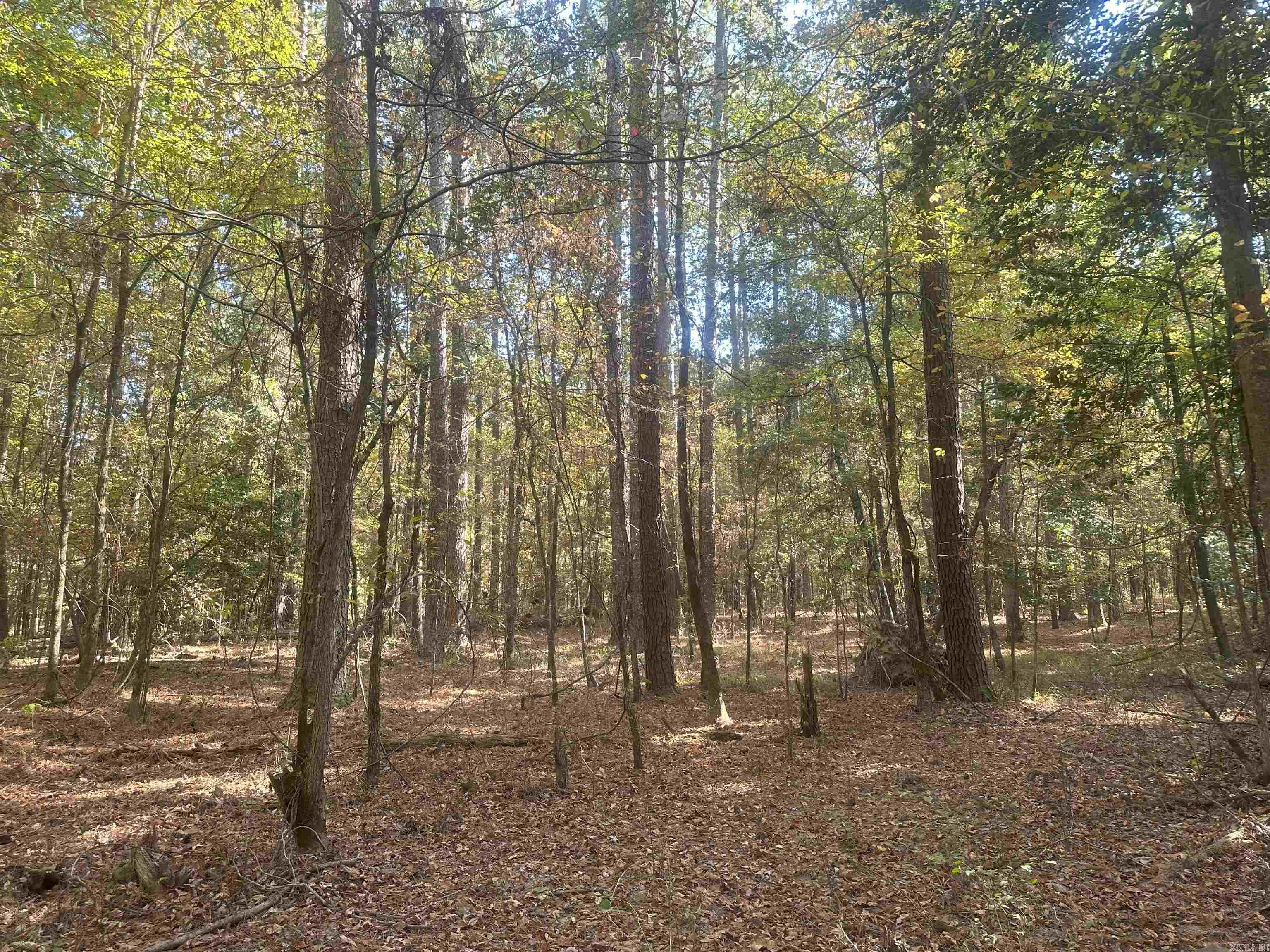 50-9-19  Red Springs Rd  Gurdon, AR