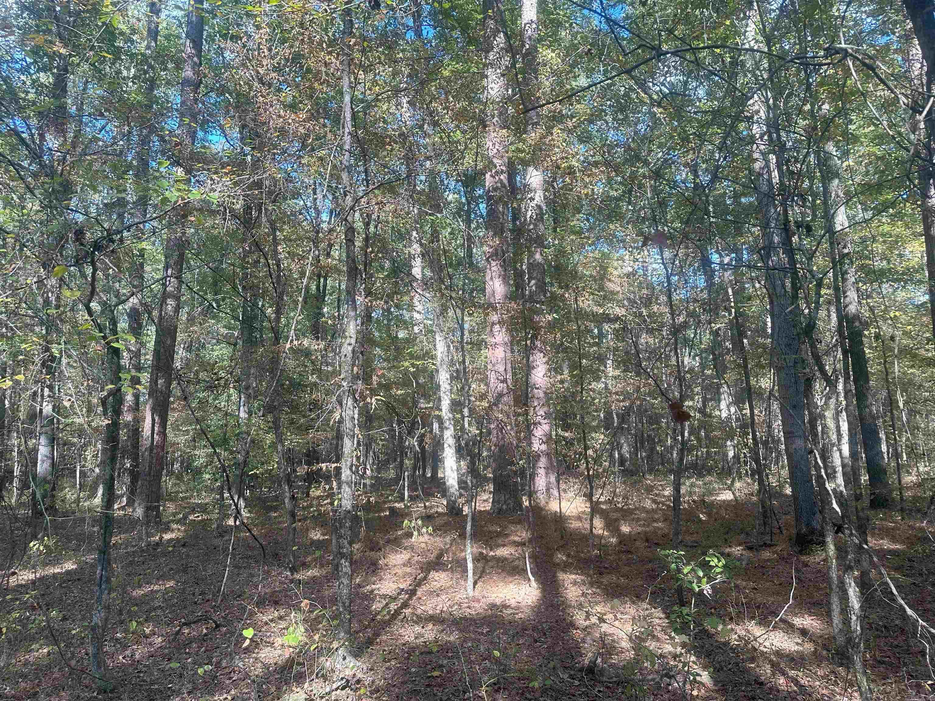 50-9-19  Red Springs Rd  Gurdon, AR