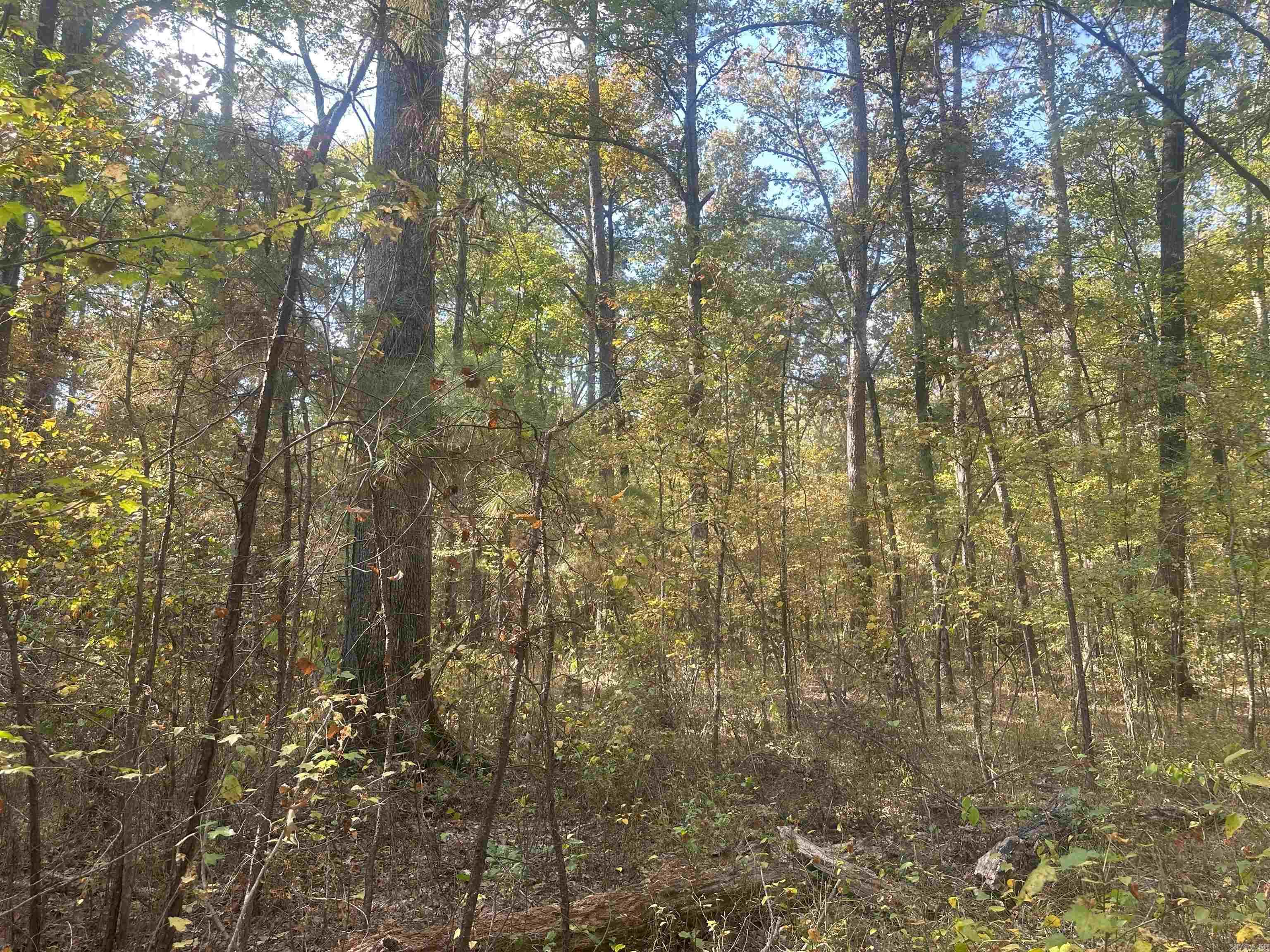 50-9-19  Red Springs Rd  Gurdon, AR