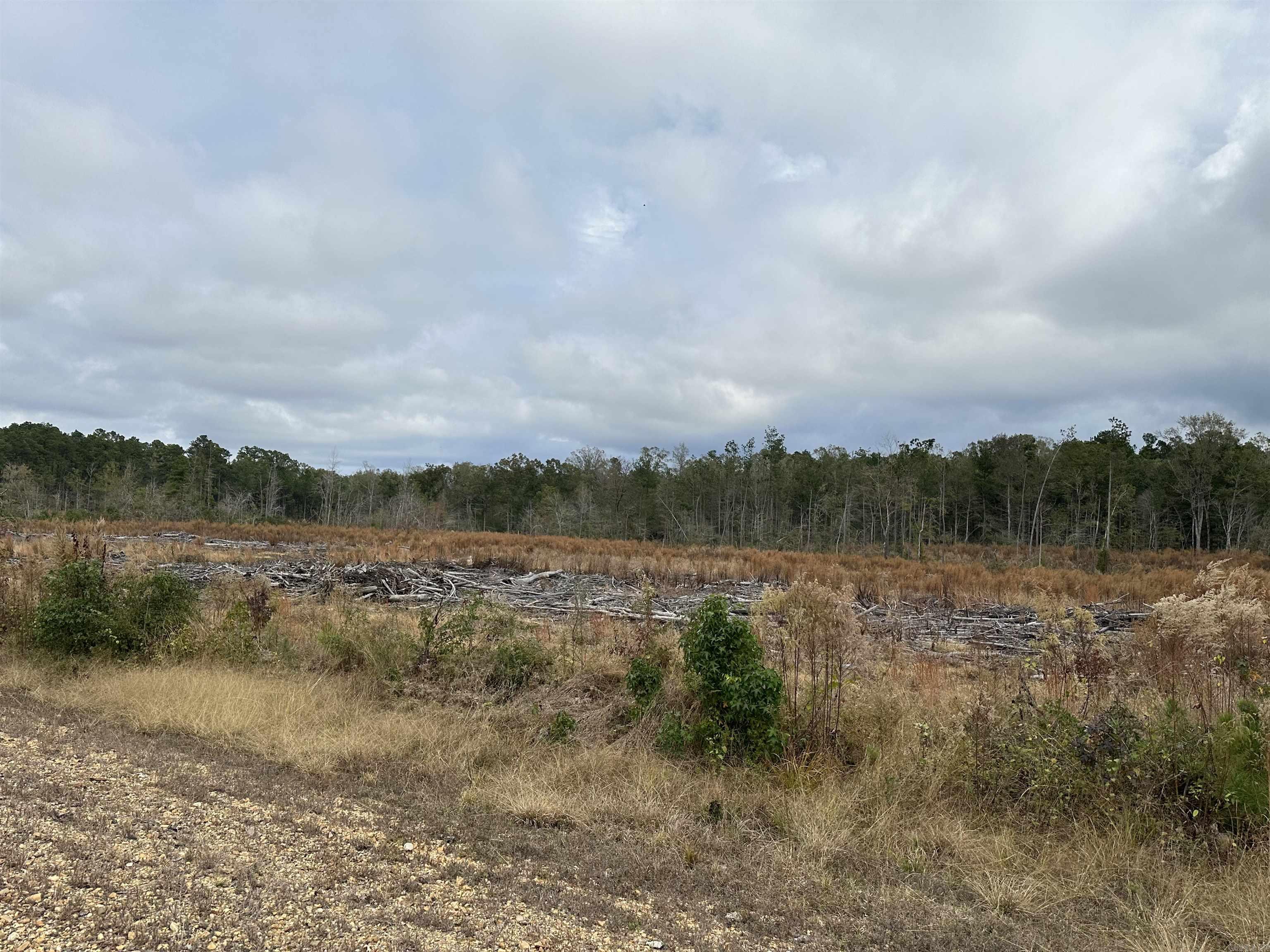 13-11-12  AR hwy 97  Kingsland, AR