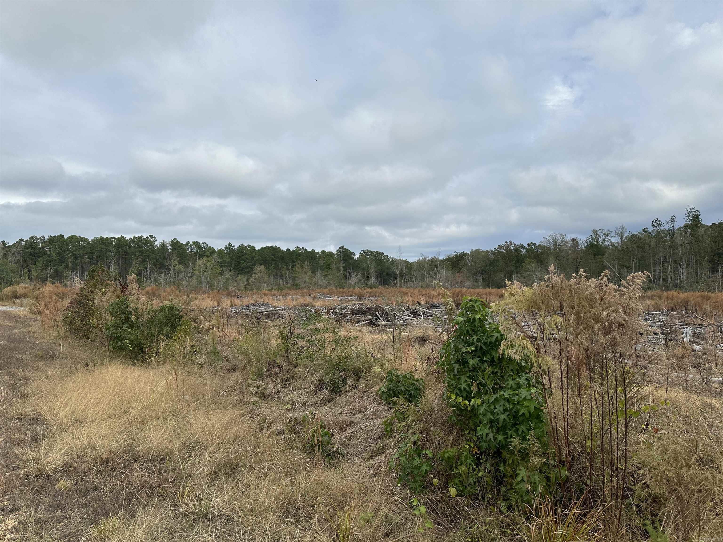 13-11-12  AR hwy 97  Kingsland, AR
