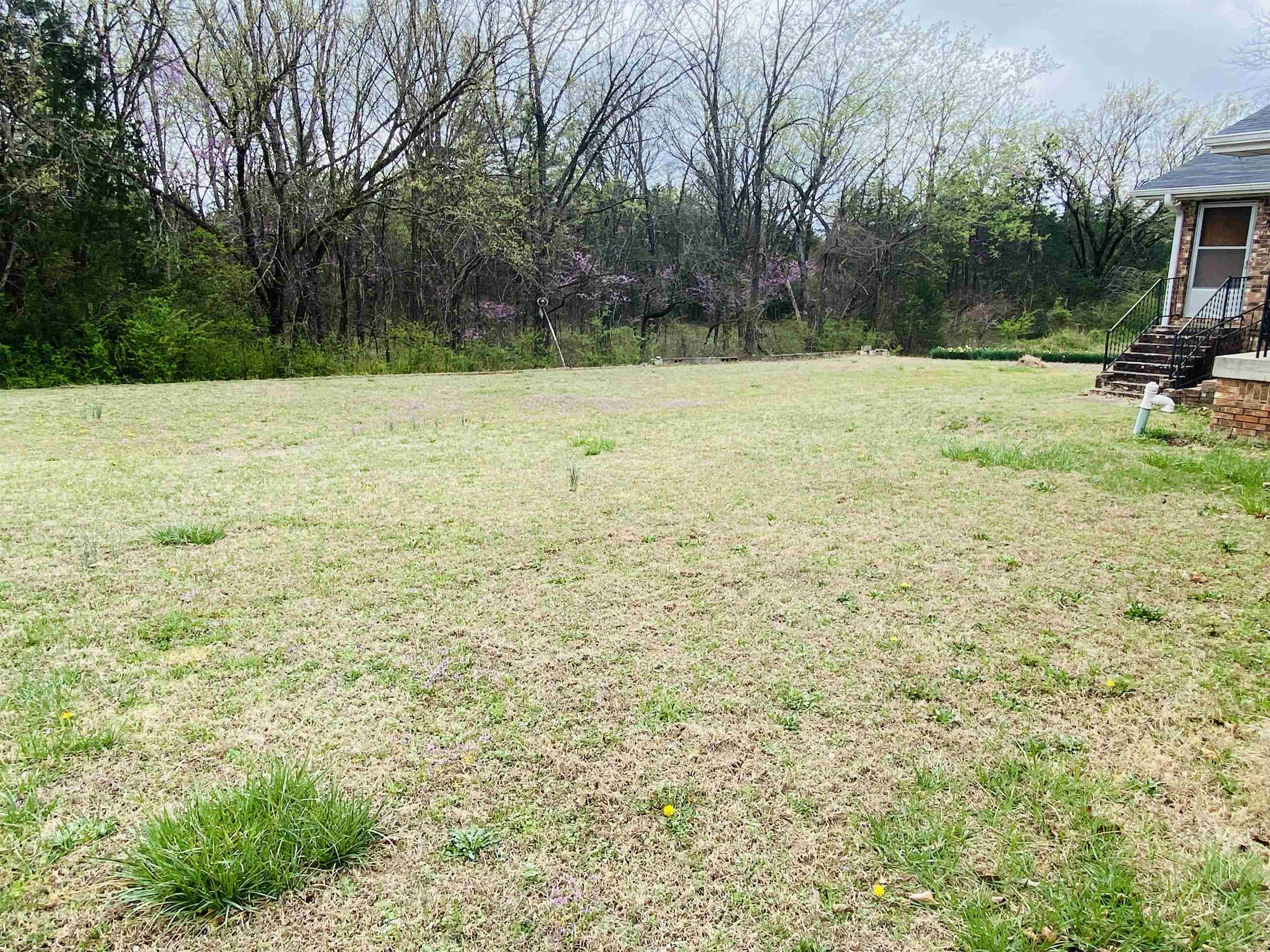 951  Hwy 223  Pineville, AR