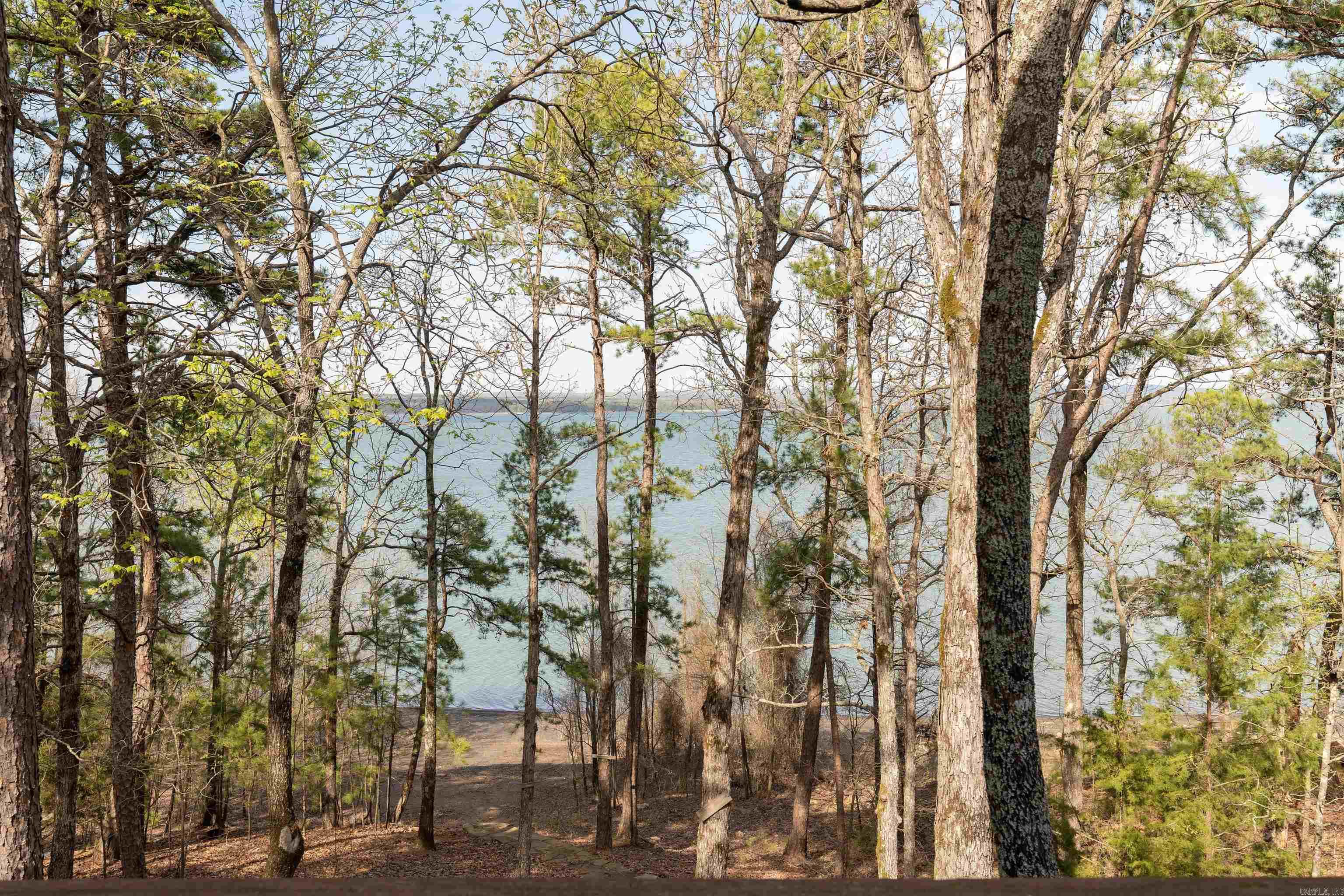 194  Lake Point Drive  Quitman, AR