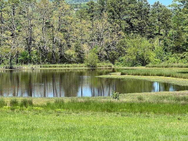 164 Polk Road 714  Mena, AR
