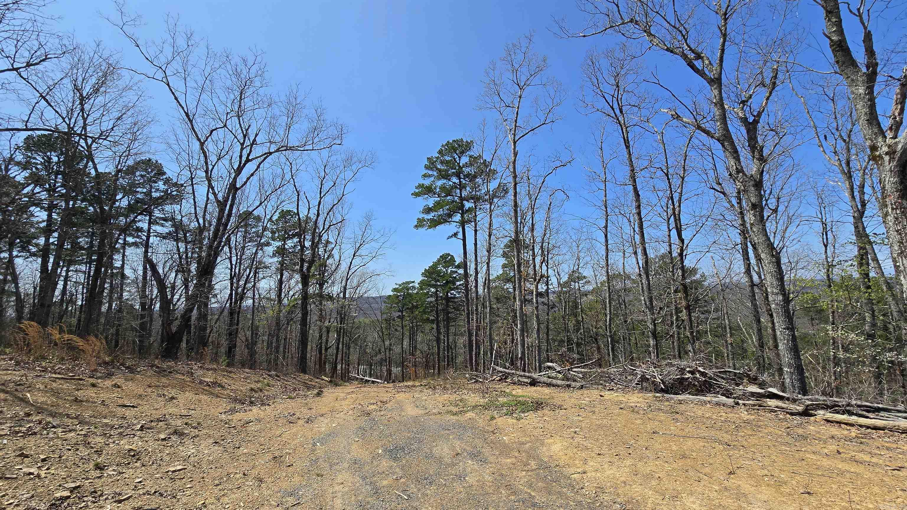 11766  Highway 65 N  Dennard, AR