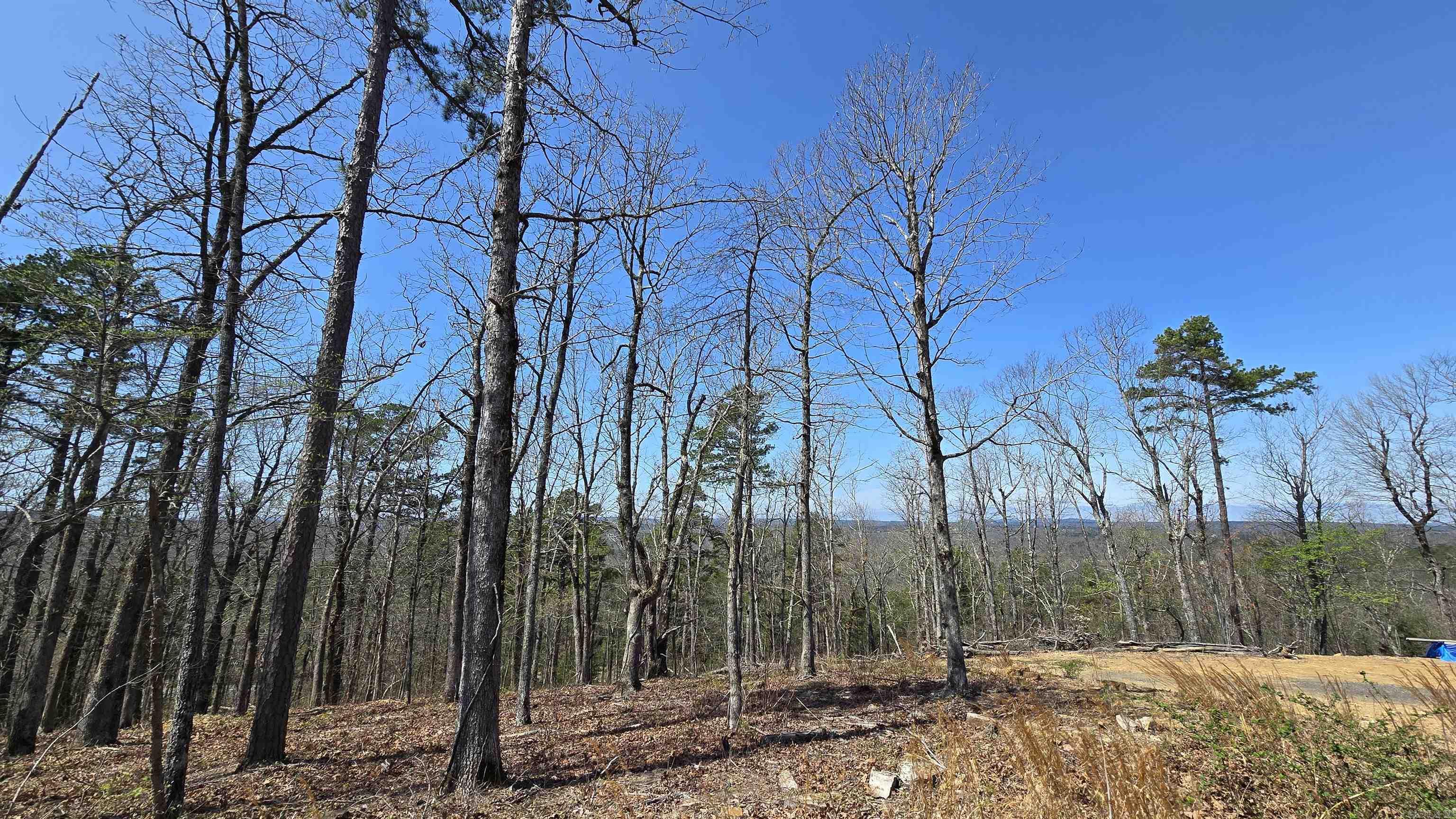 11766  Highway 65 N  Dennard, AR