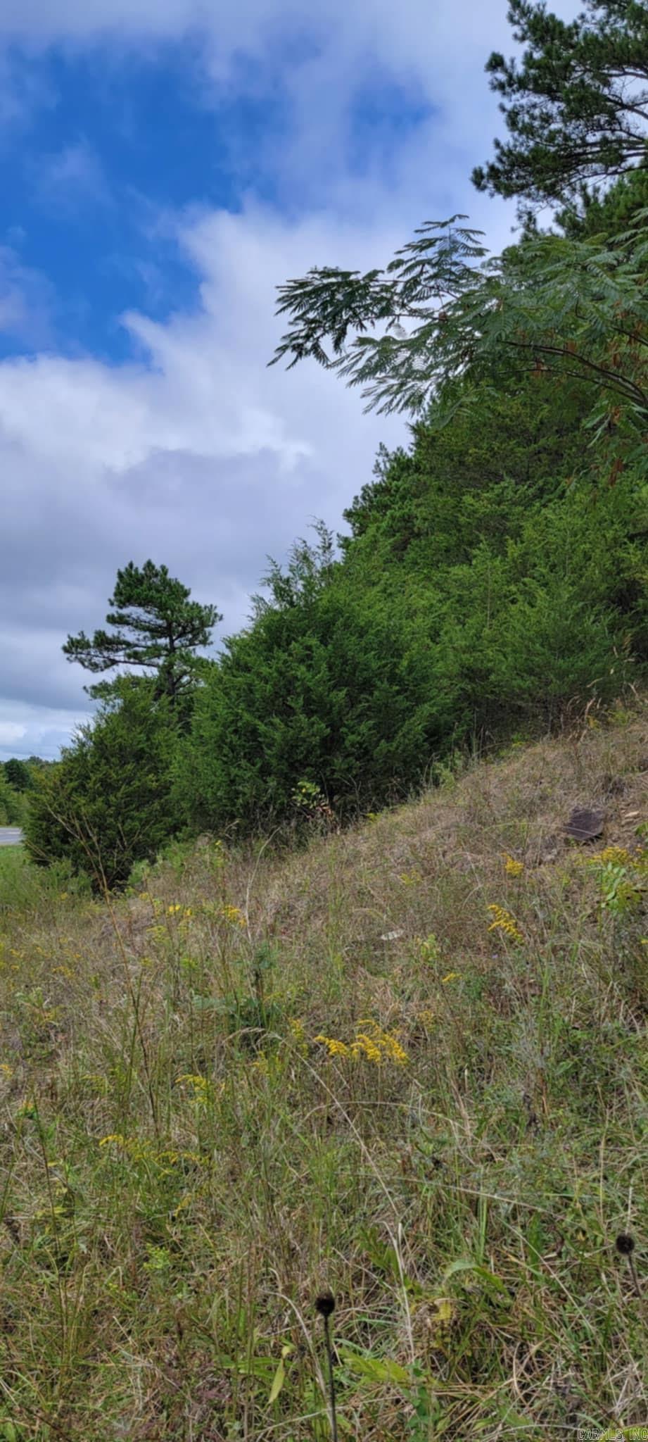 11766  Highway 65 N  Dennard, AR