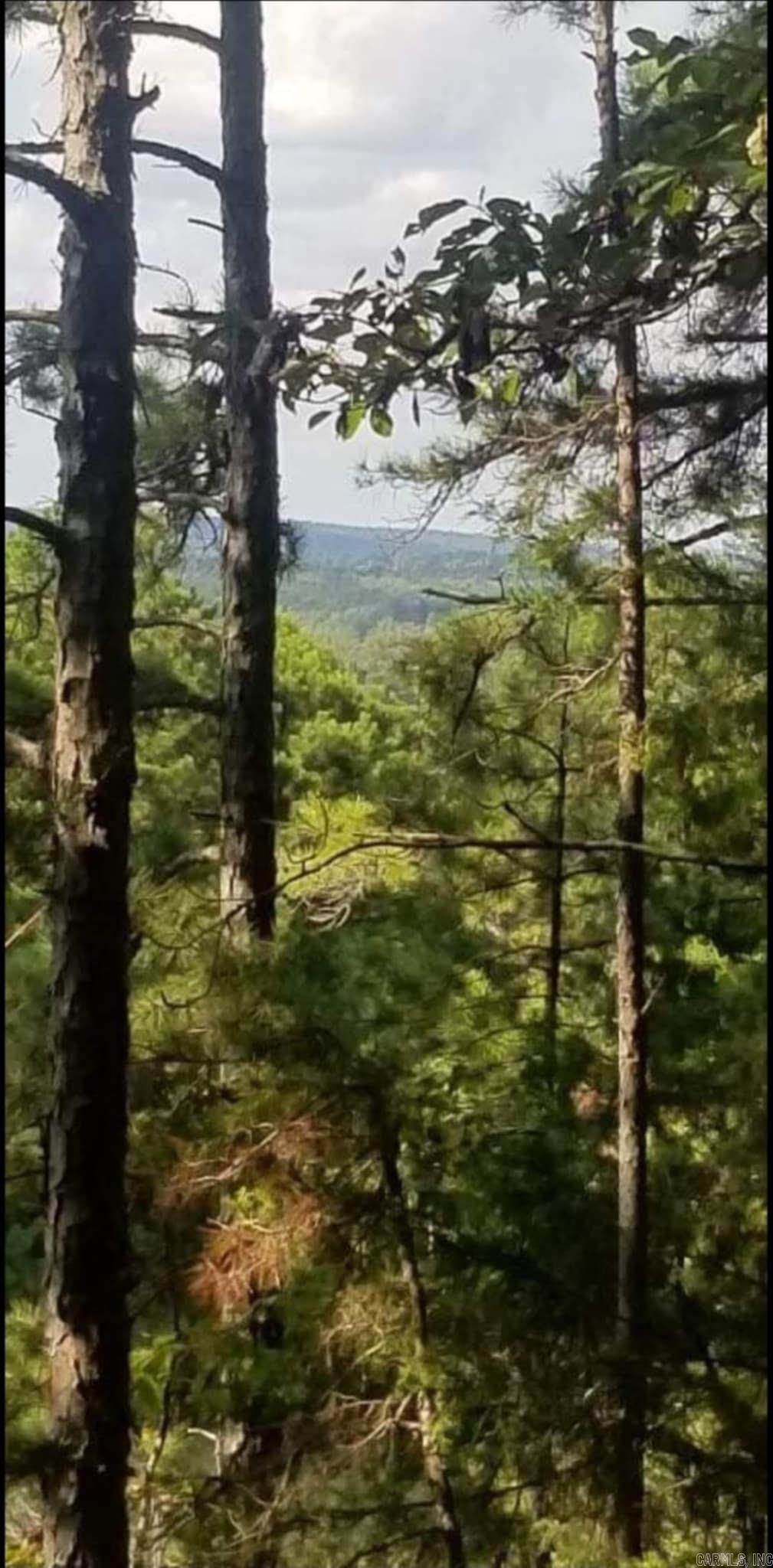11766  Highway 65 N  Dennard, AR