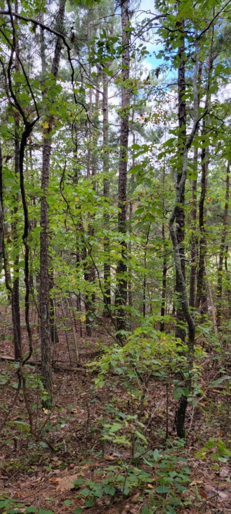11766  Highway 65 N  Dennard, AR