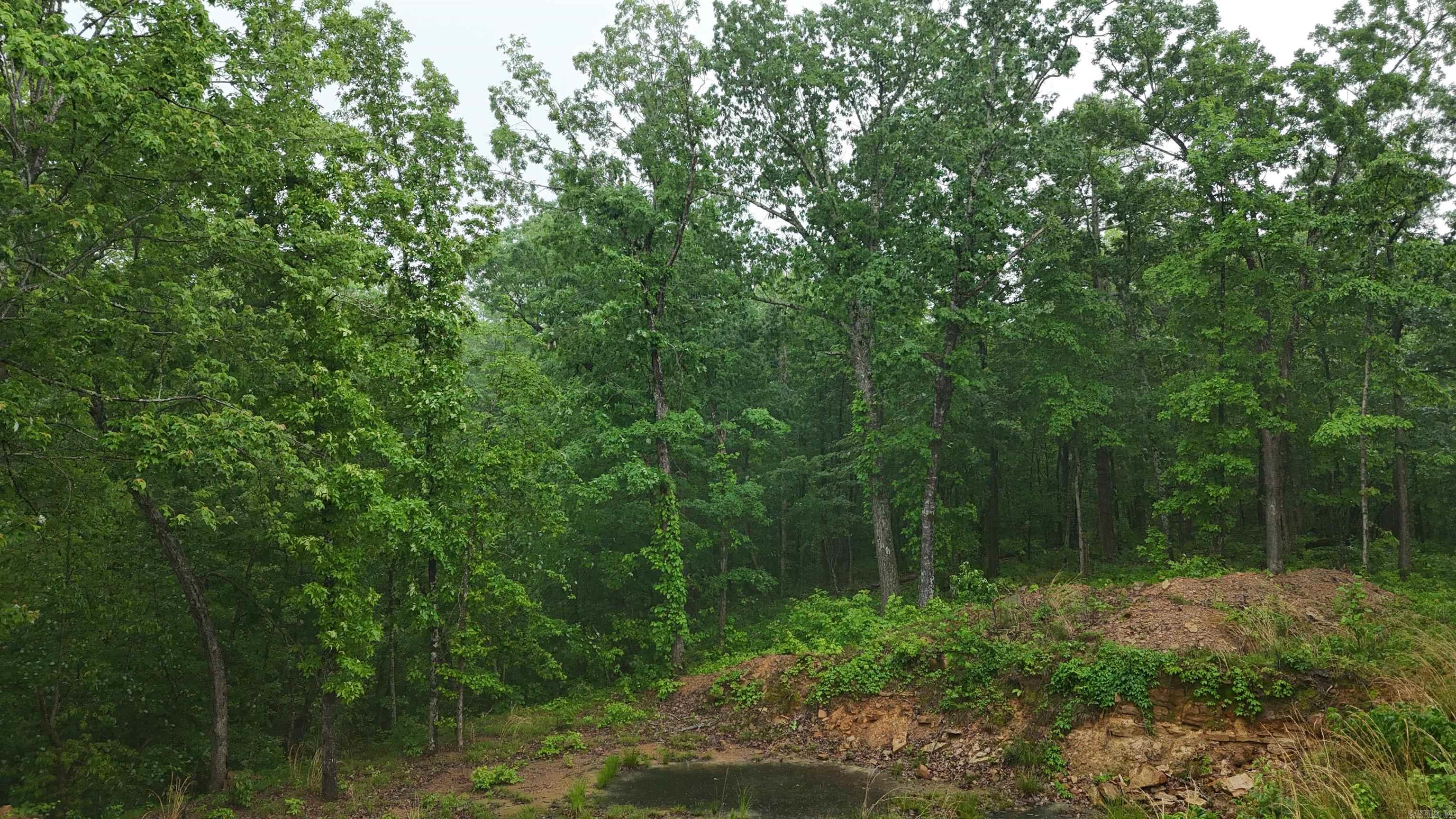 11766  Highway 65 N  Dennard, AR