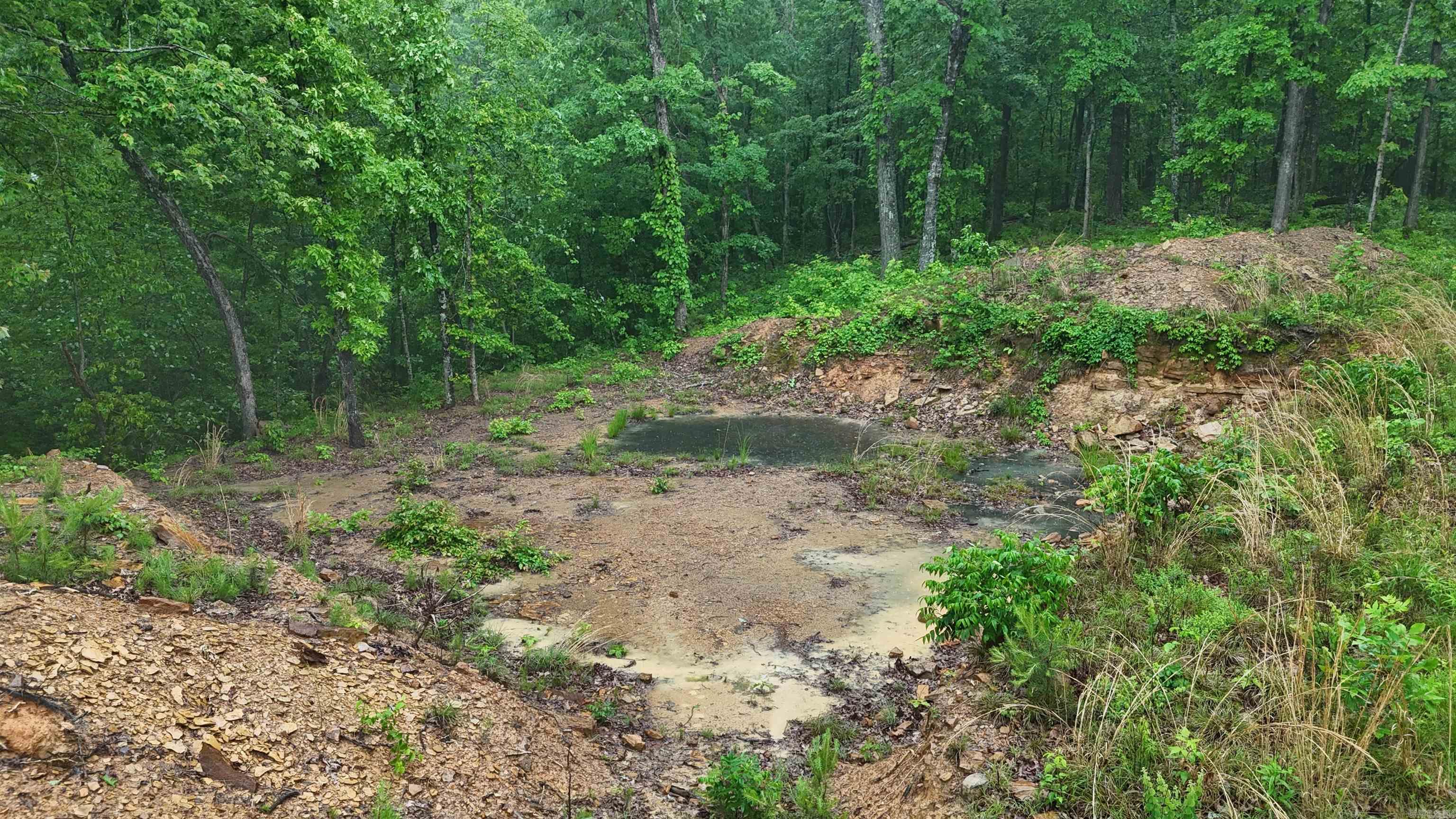 11766  Highway 65 N  Dennard, AR