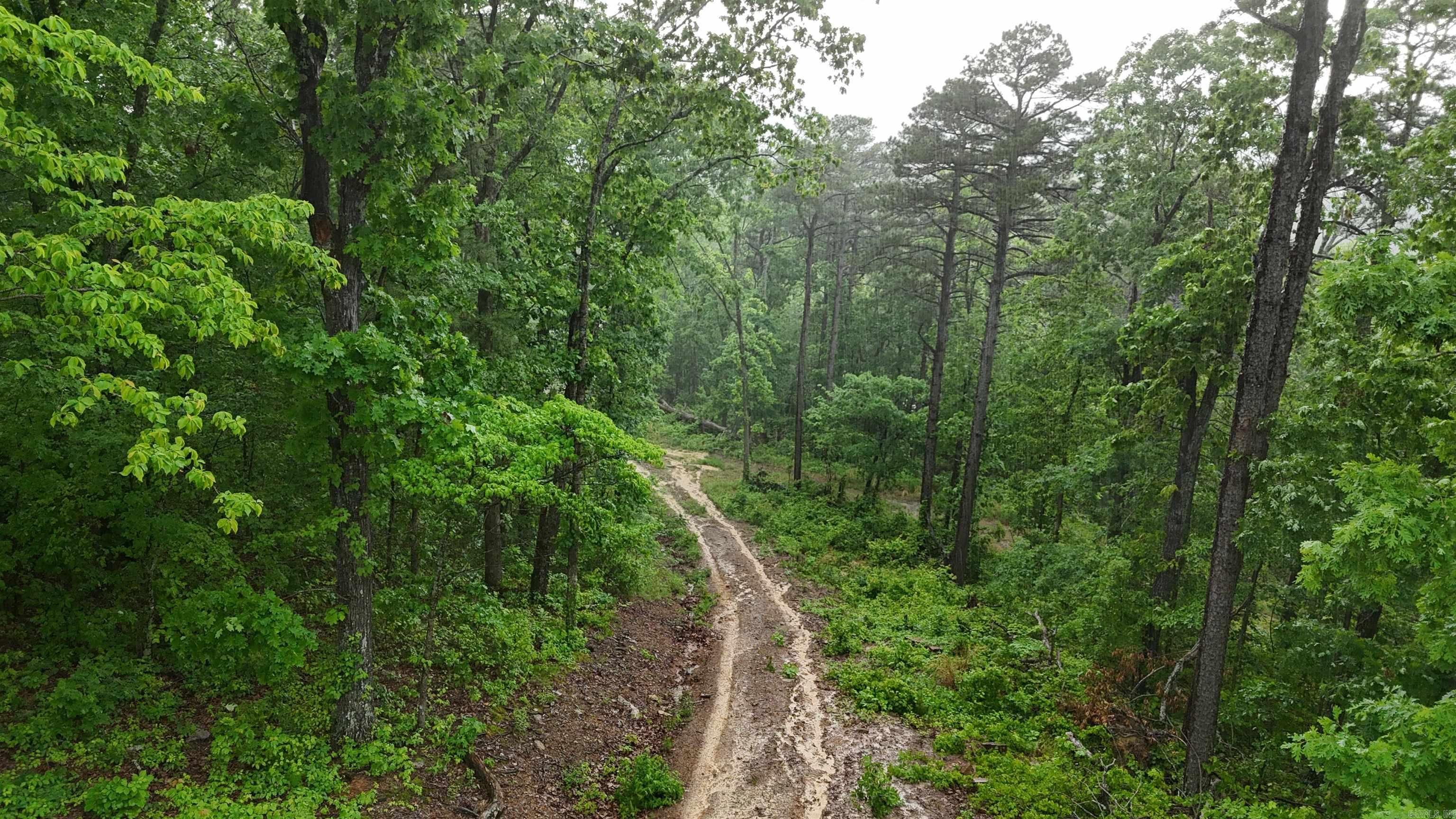 11766  Highway 65 N  Dennard, AR