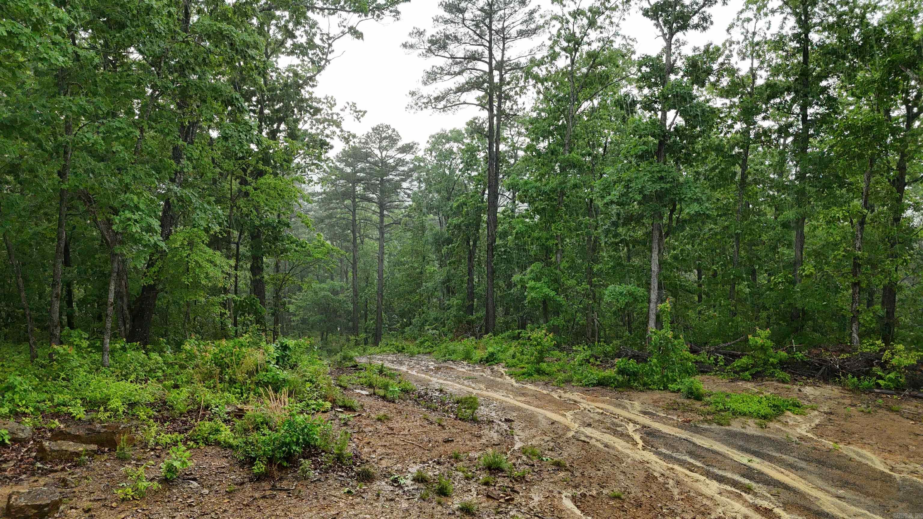 11766  Highway 65 N  Dennard, AR