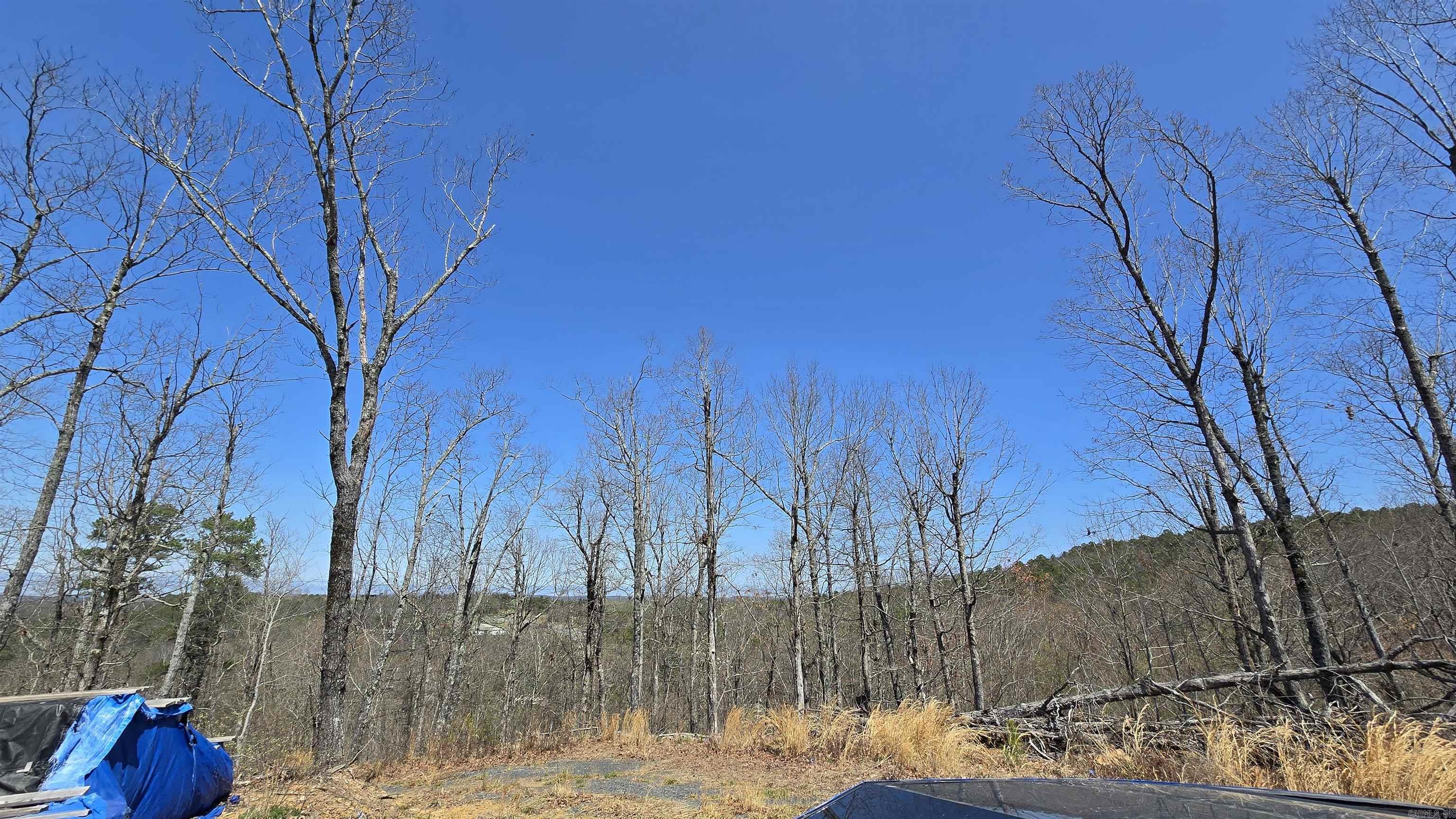 11766  Highway 65 N  Dennard, AR