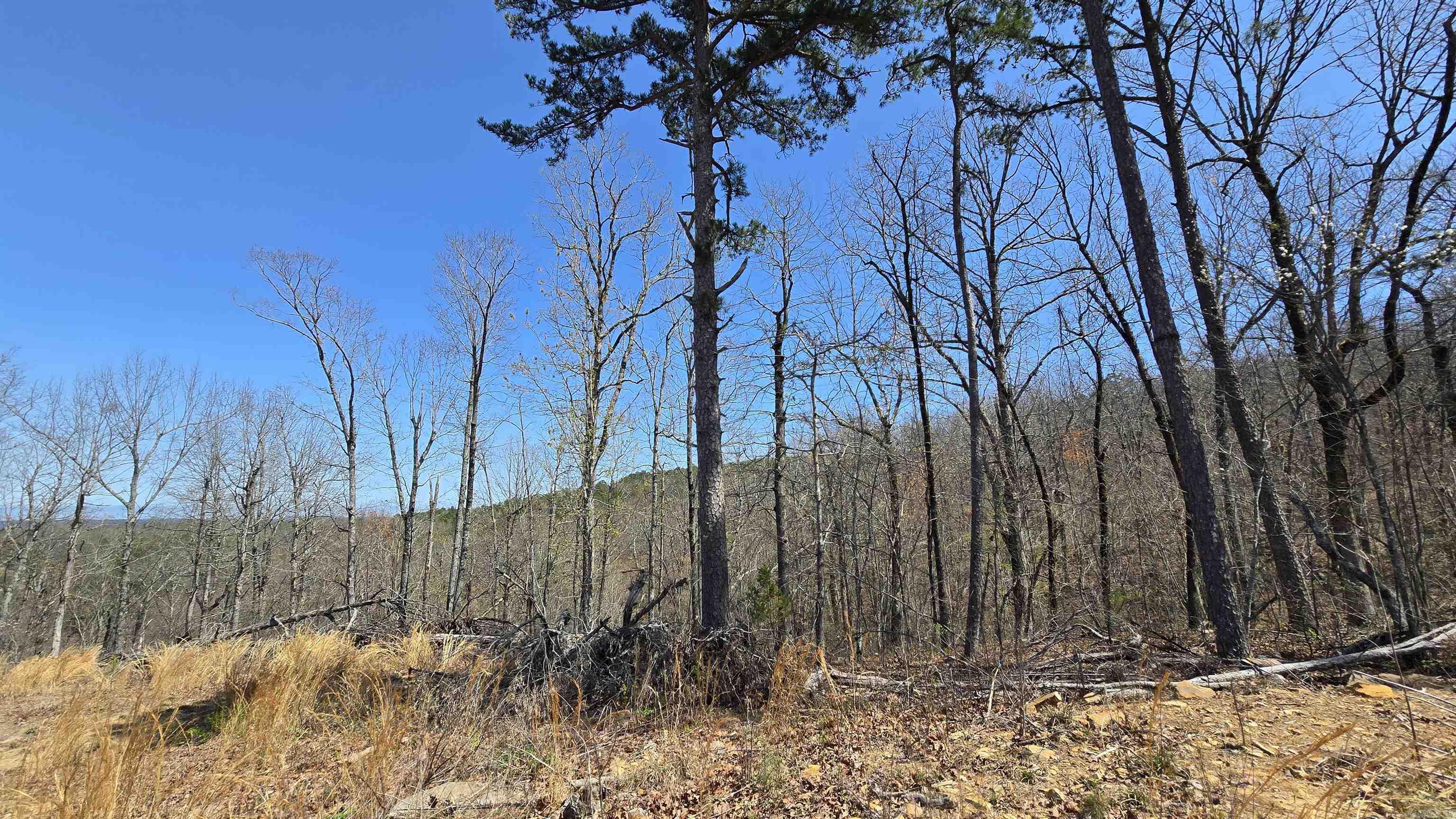 11766  Highway 65 N  Dennard, AR