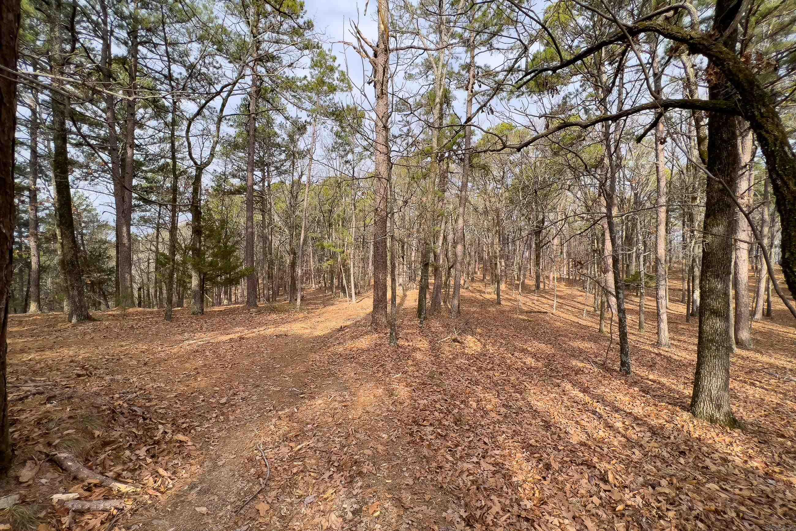 0142  Valley Ranch Drive  Little Rock, AR