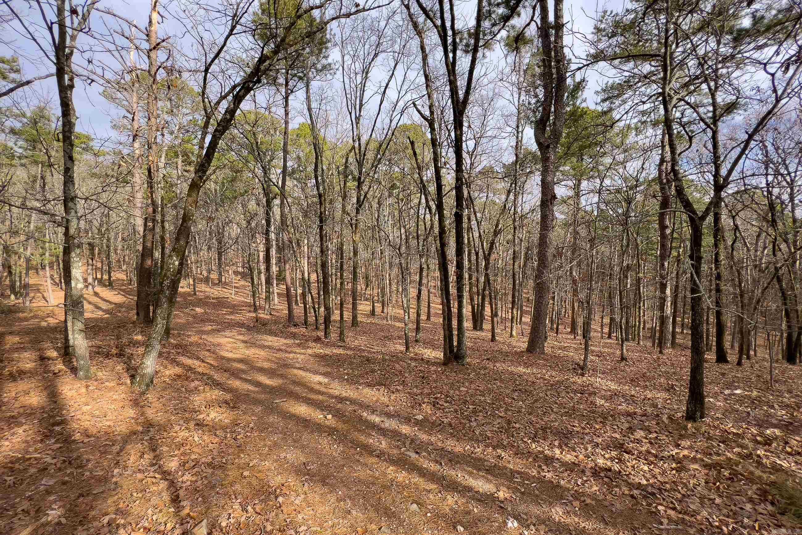 0142  Valley Ranch Drive  Little Rock, AR