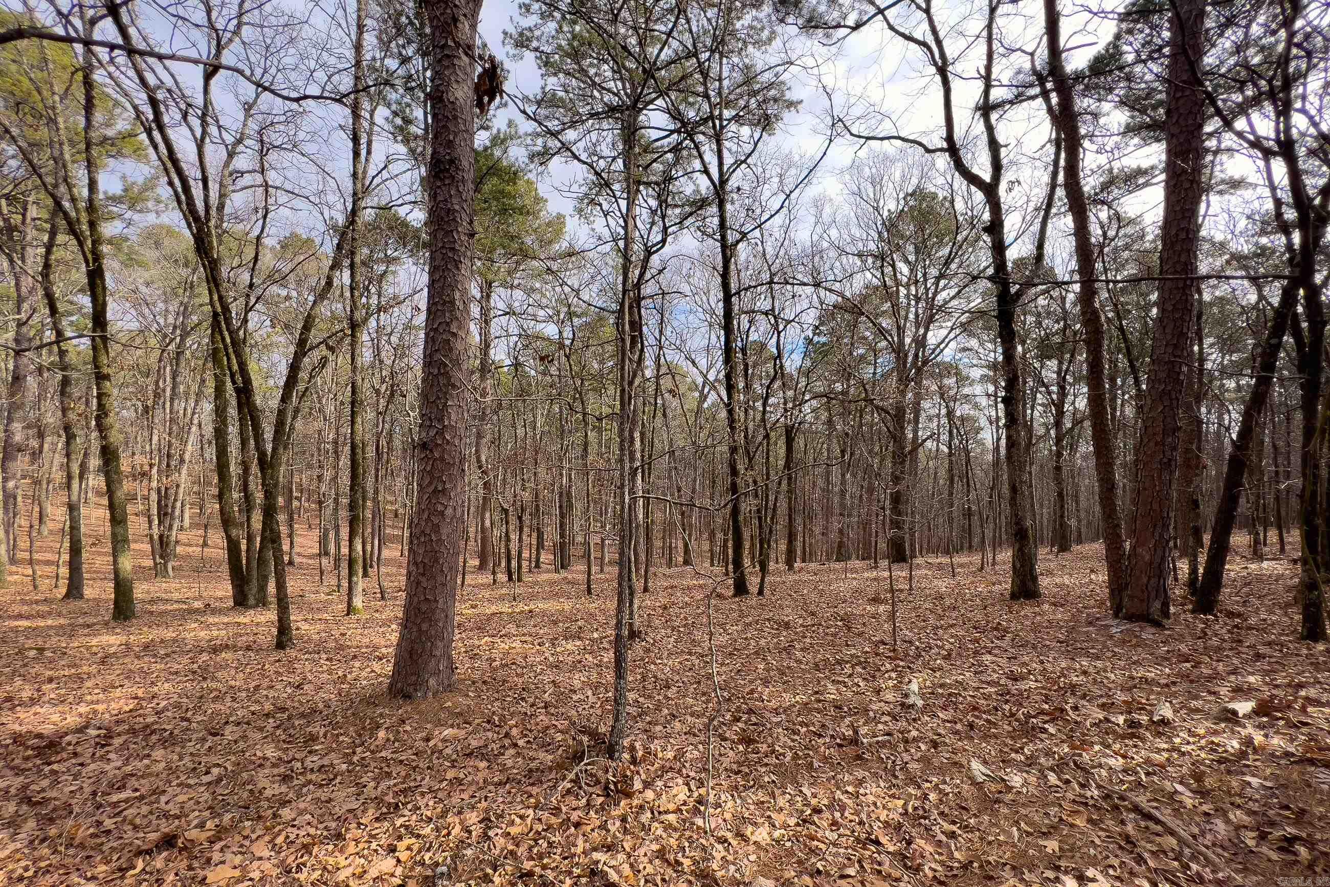 0142  Valley Ranch Drive  Little Rock, AR