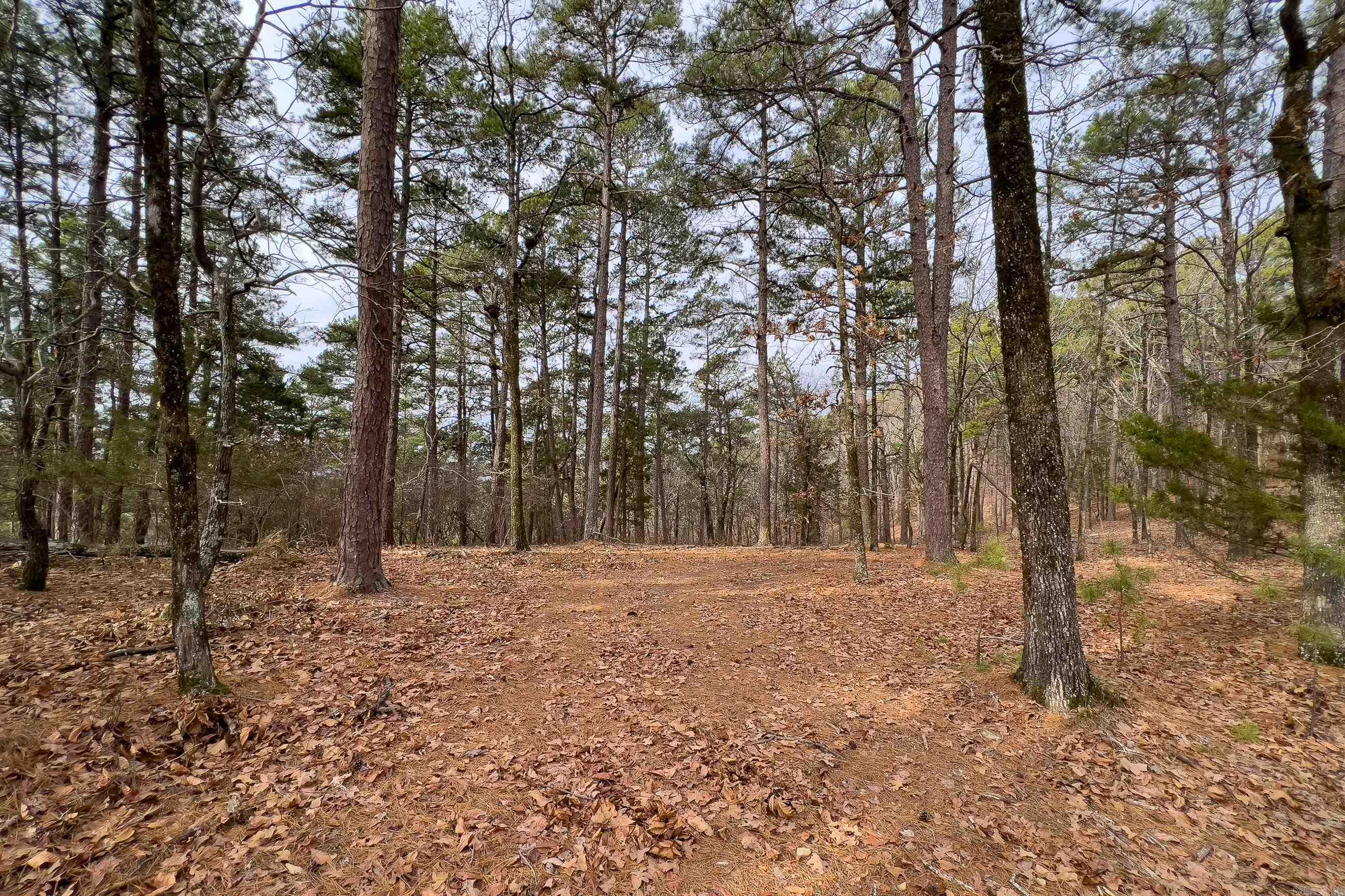 0142  Valley Ranch Drive  Little Rock, AR