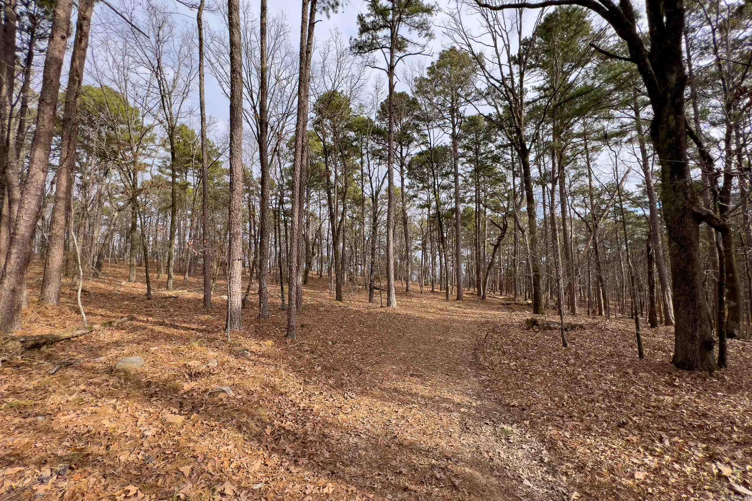 0142  Valley Ranch Drive  Little Rock, AR