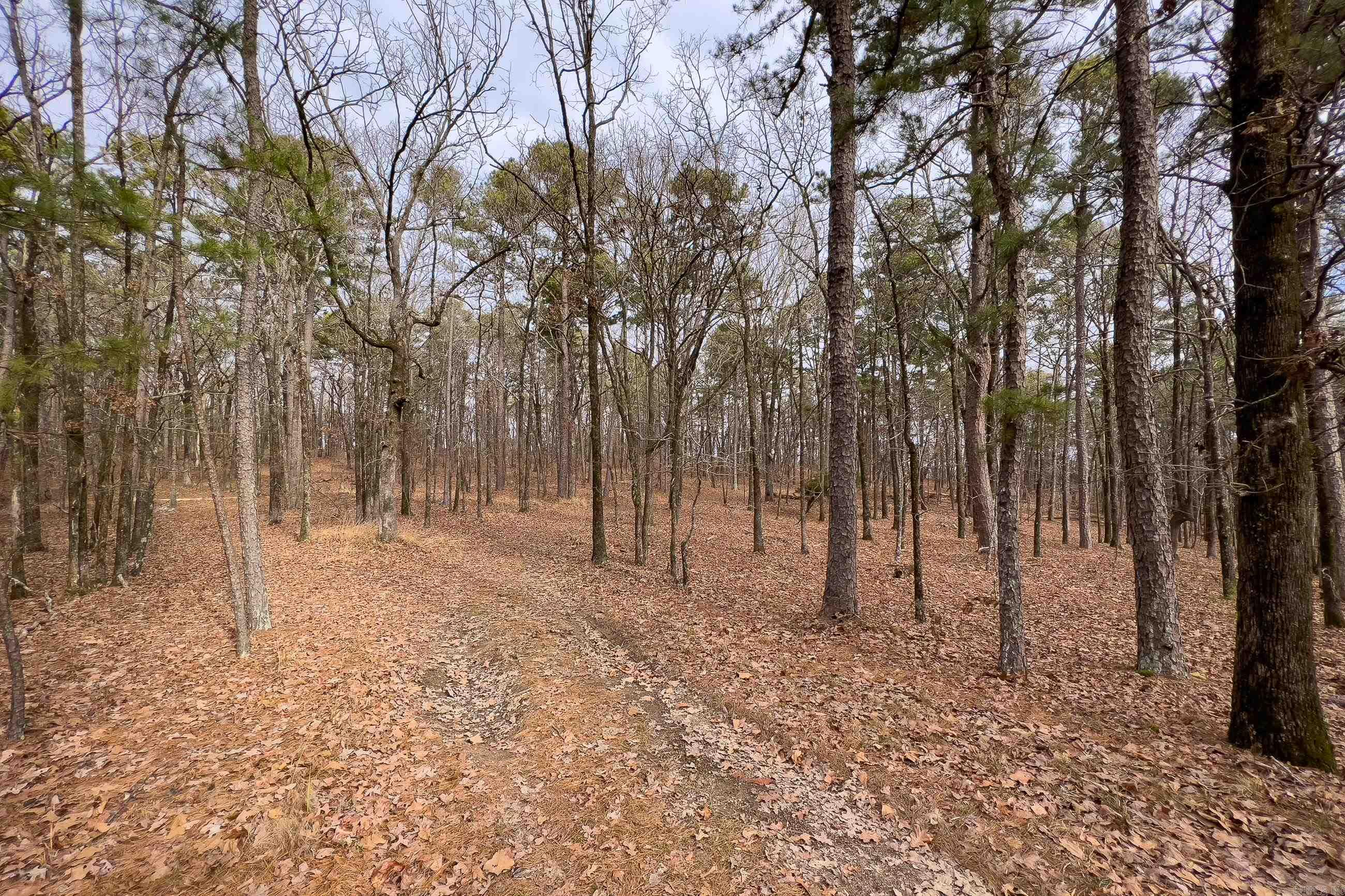 0142  Valley Ranch Drive  Little Rock, AR