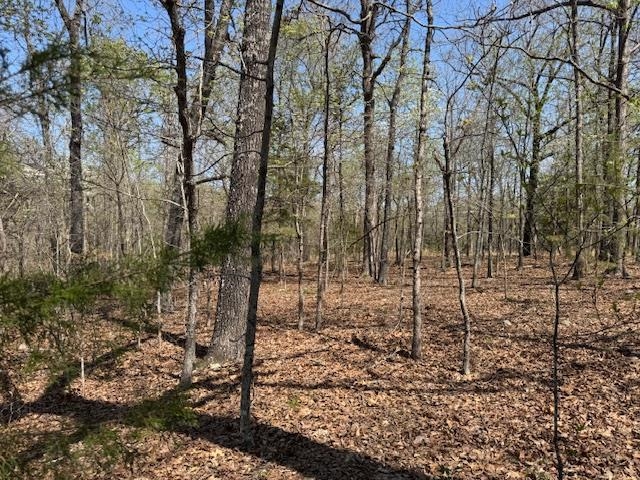 410 N Sequoia Drive  Horseshoe Bend, AR