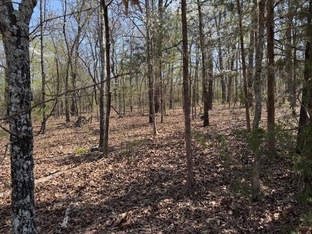 410 N Sequoia Drive  Horseshoe Bend, AR