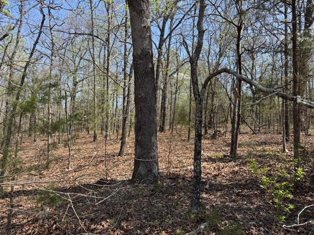 410 N Sequoia Drive  Horseshoe Bend, AR