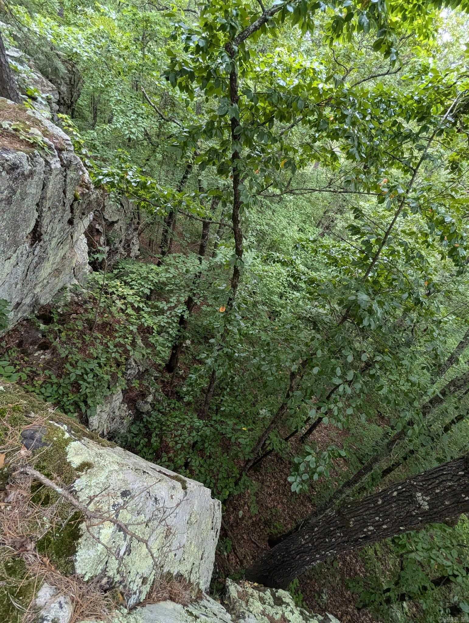 0000  Lute Mountain Road  Shirley, AR